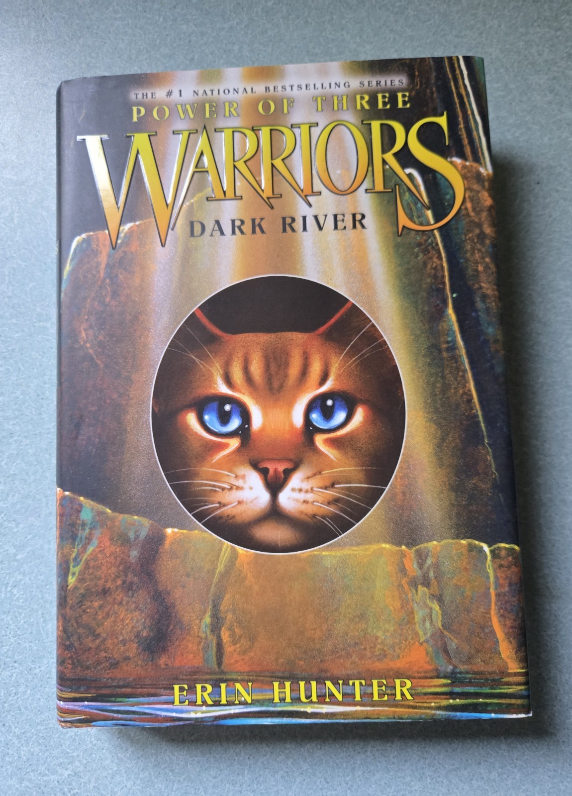 Erin Hunter Warriors Arc 3: Power of Three 1-6 Hardcover Set w/ Dust Jacket