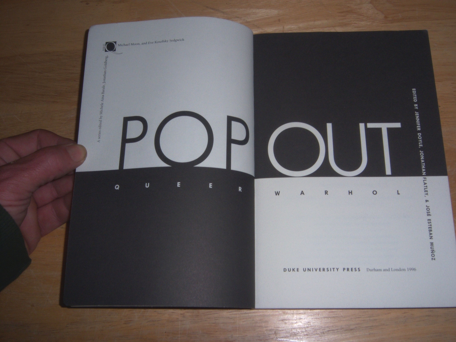 JENNIFER DOYLE QUEER WARHOL POP OUT 1996 DUKE UNIVERSITY PRESS 2ND 4TO SC VG+