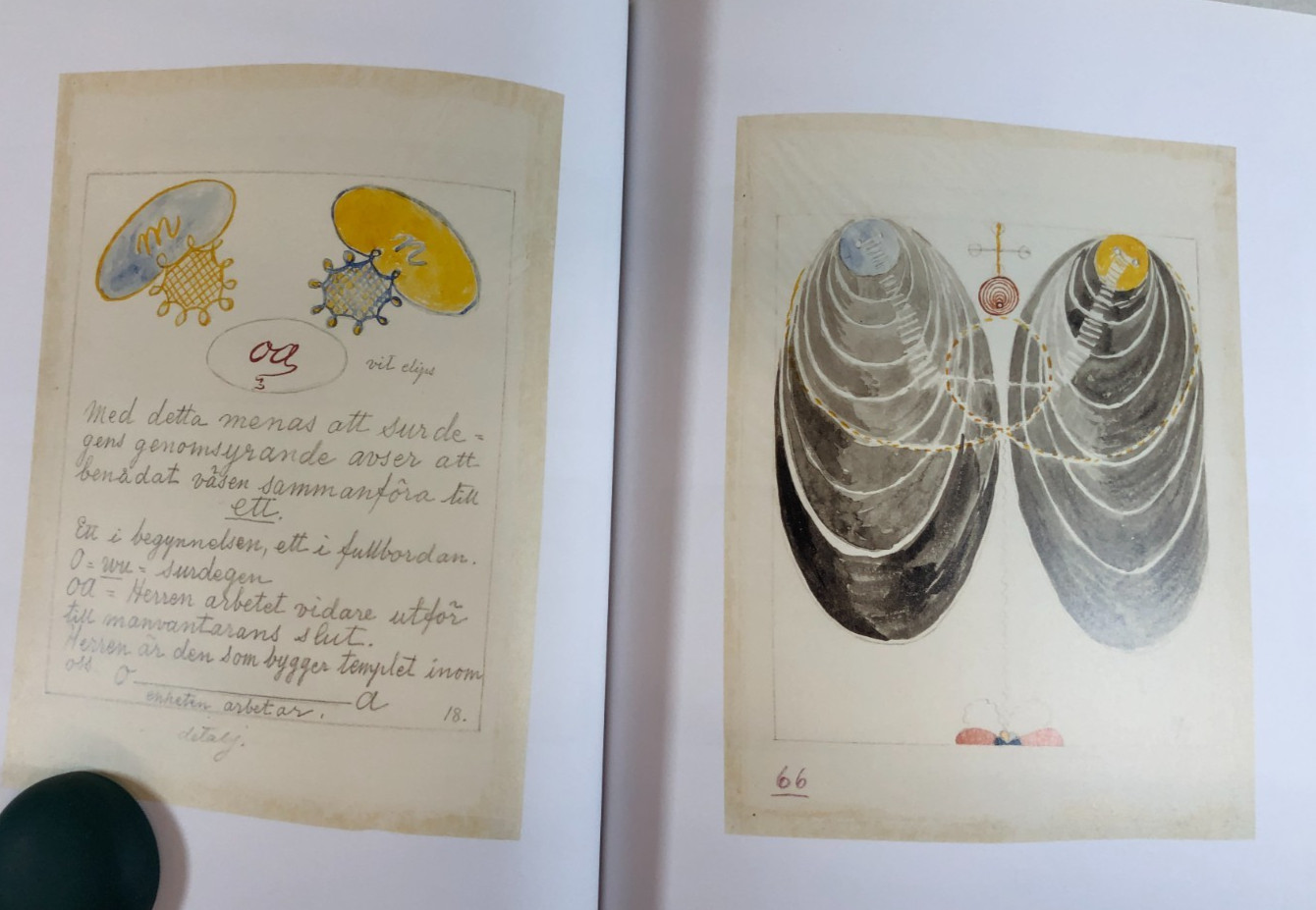 Hilma af Klint, The Blue Book, Almquist, 2020, E-119