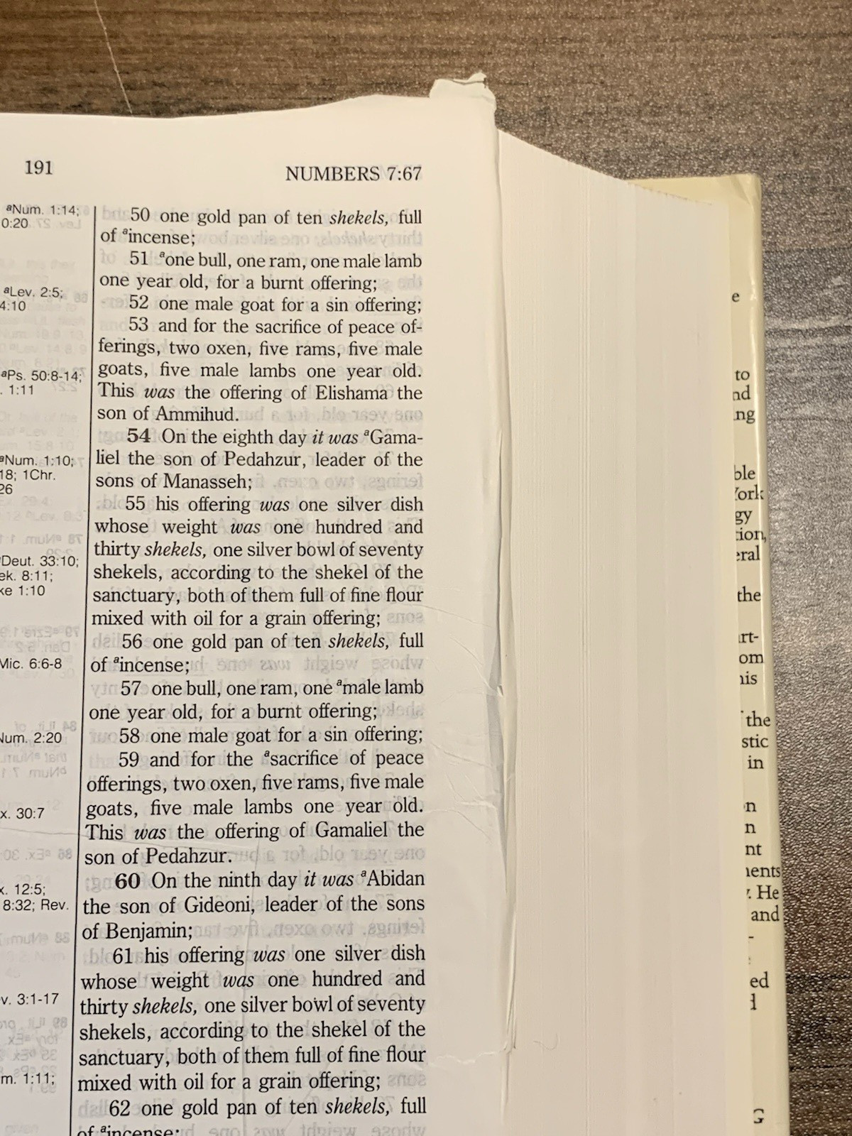NASB Hebrew-Greek Key Word Study Bible Red Hardback