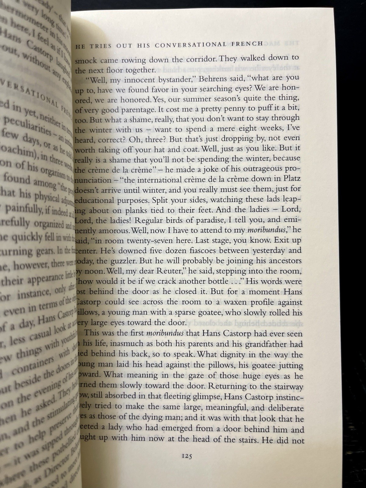 Magic Mountain Introduction by Thomas Mann Everymans Library 285 Like New Y1