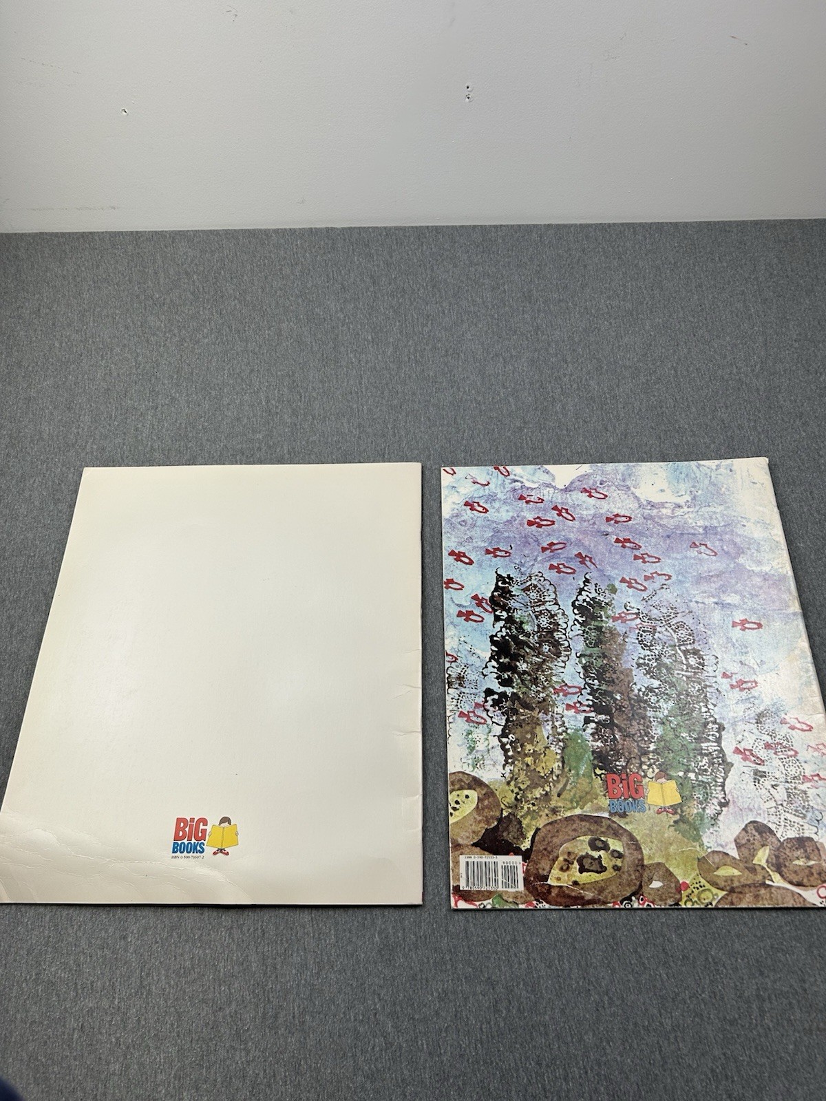 Lot Of 10 Oversized Classroom Teacher Big Books Easel Lionni Heller Carle