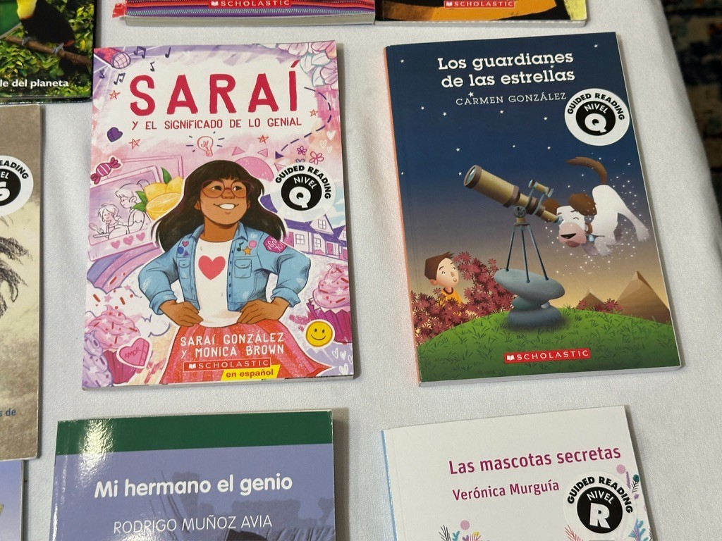 Scholastic 40 SPANISH Grade 4-6 Guided Reading Readers Books Level P, Q, R, S