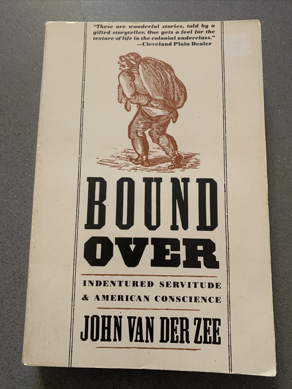 Bound Over: Indentured Servitude and American Conscience PB JOHN VAN DER Zee