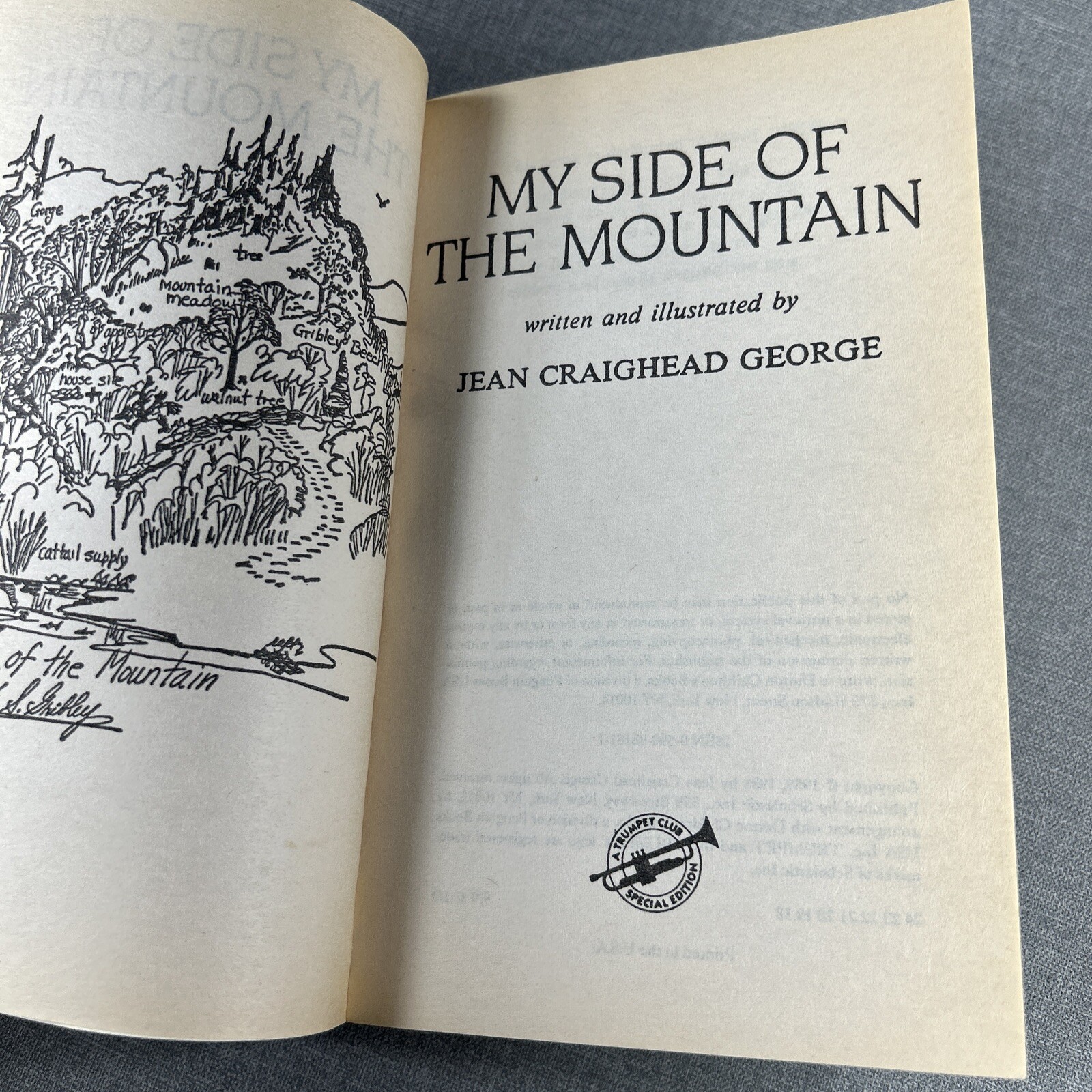 My Side of the Mountain & Julie’s Wolf Pack Jean Craighead George 2 Book Lot