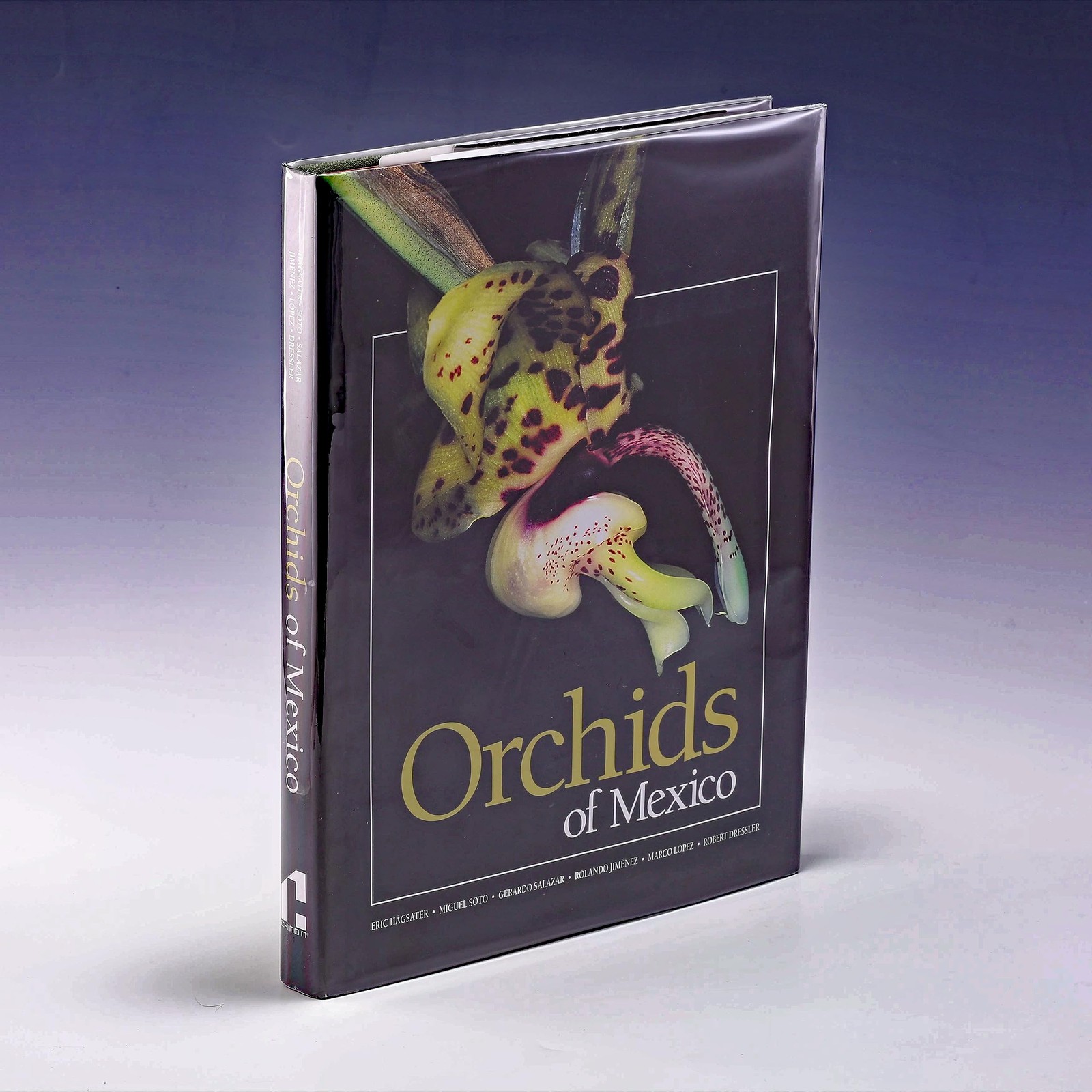 Orchids of Mexico Floral Flowers Gardening