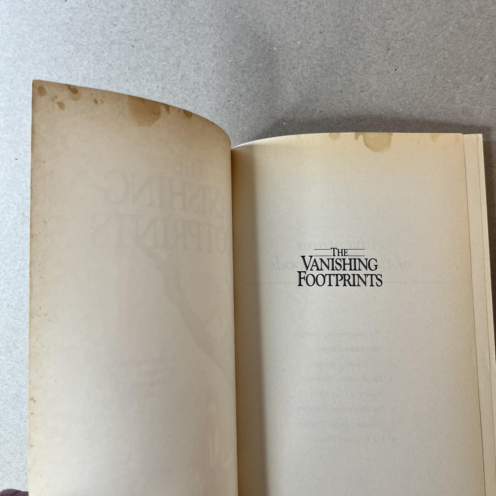 Vintage Adventures Of Northwoods Lot 6 Lois Walfrid Johnson Harmony PB 1990s