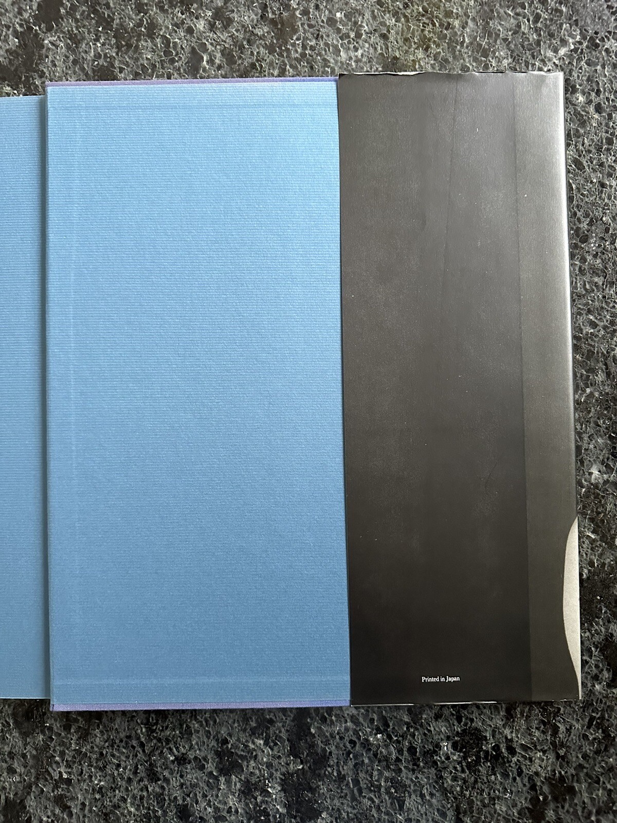 Robert Mapplethorpe Certain People by Susan Sontag 1985 Hardcover