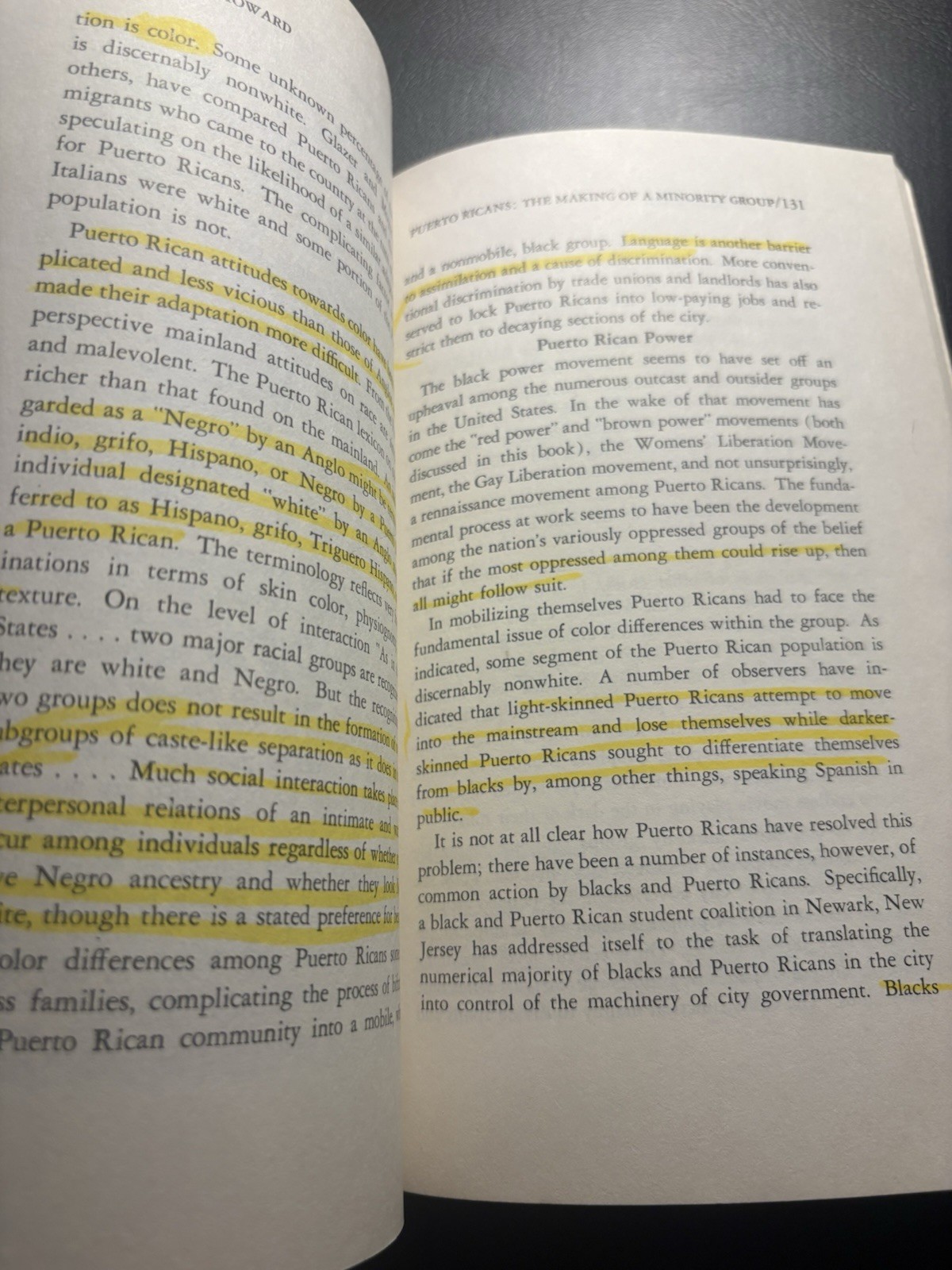 Awakening Minorities 1970 PB Chicano Native Puerto Rican