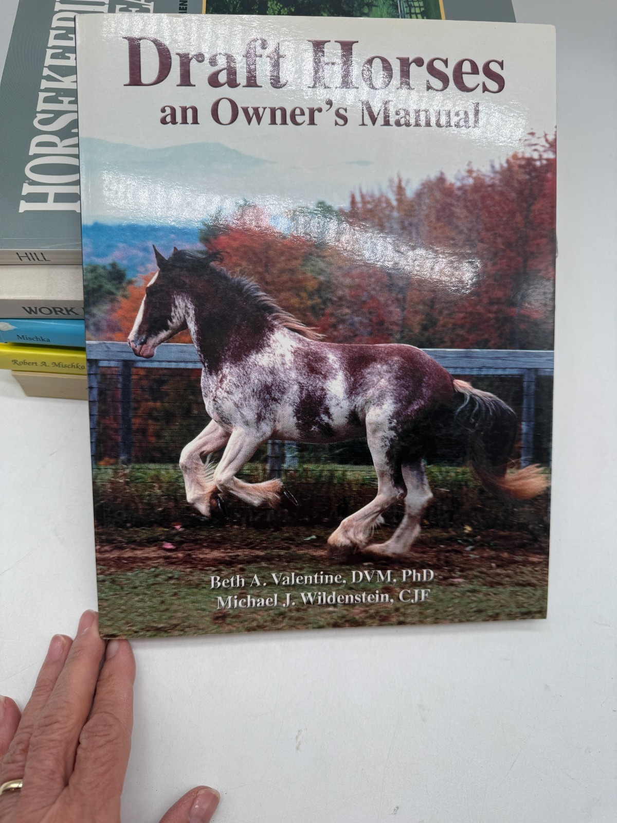 Lot 9 Horse Books Encyclopedias Breeds Horsemanship equestrian in good cond.
