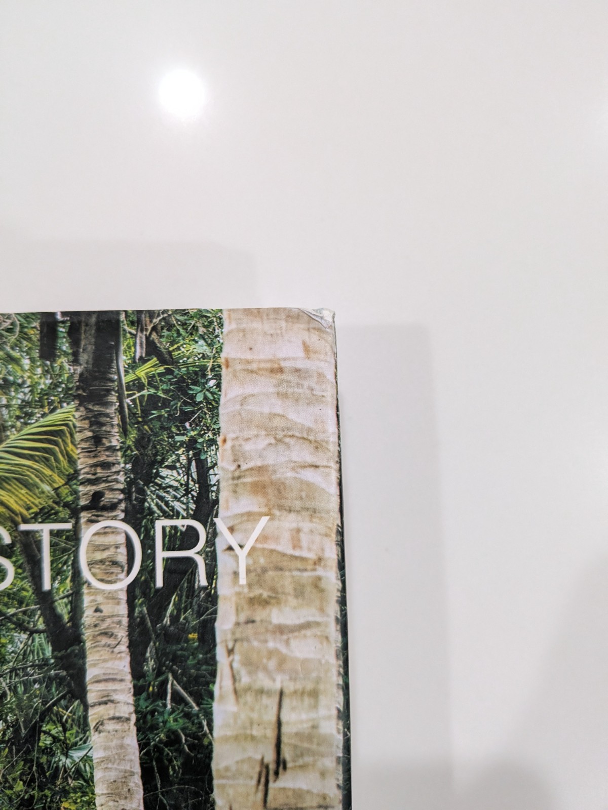India Hicks: An Entertaining Story | 2020 Hardcover | Rizzoli | Brooke Shields
