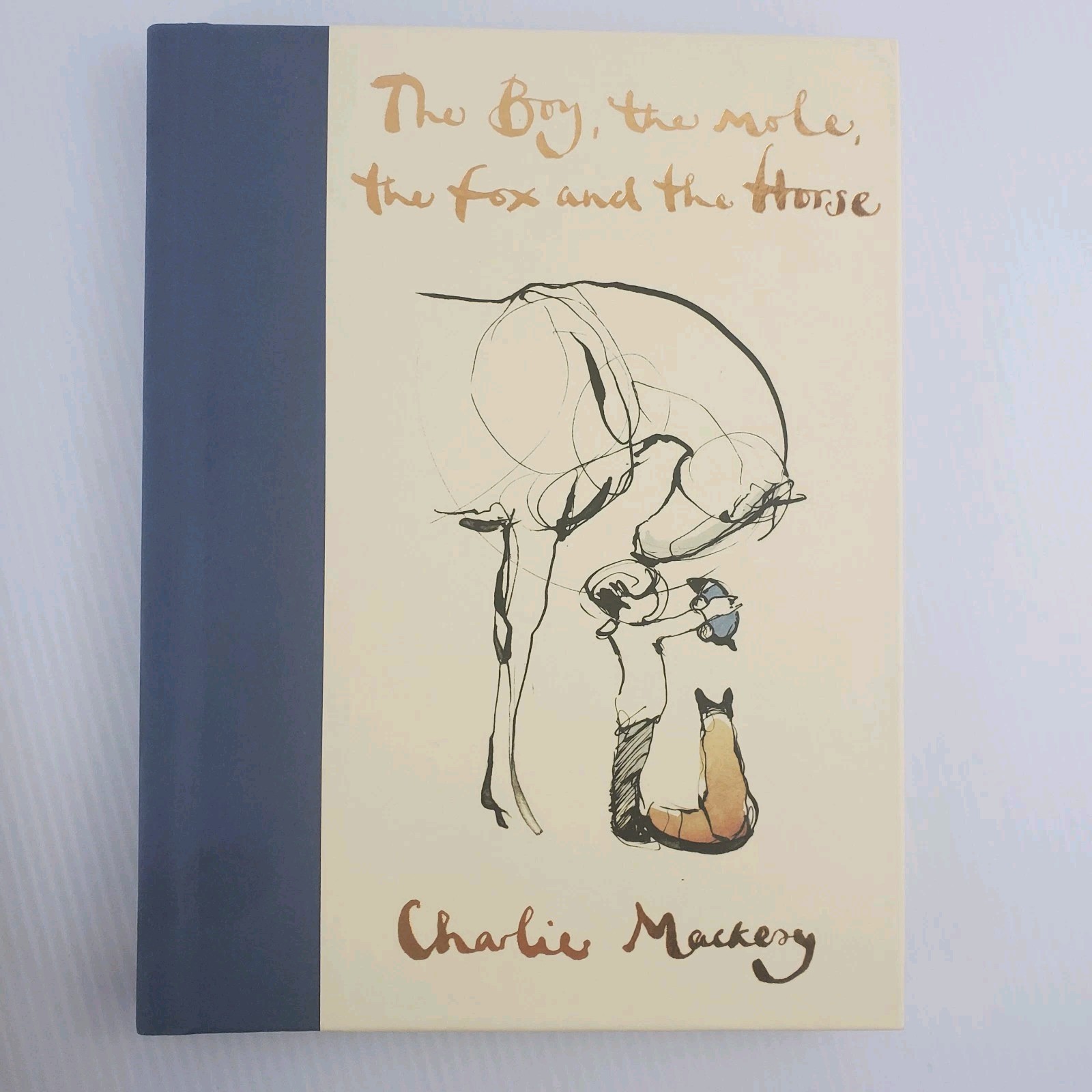 Always Remember & The Boy, The Mole, The Fox, and The Horse by Charlie Mackesy