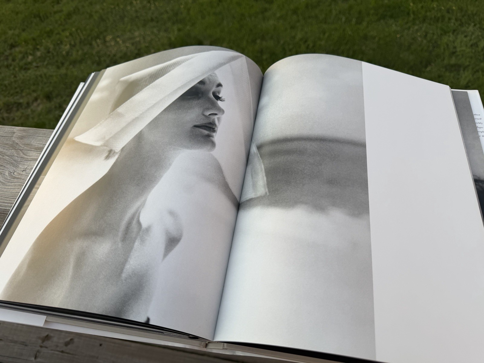 Lillian Bassman : Women by Deborah Solomon (2009, Hardcover)