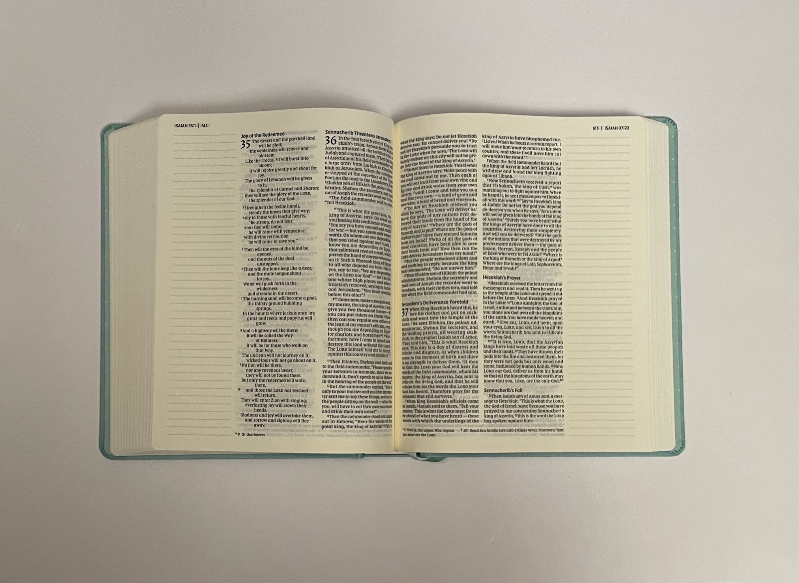 NIV Journal the Word Bible, Double-Column, Cloth Over Board, Teal, Red Letter