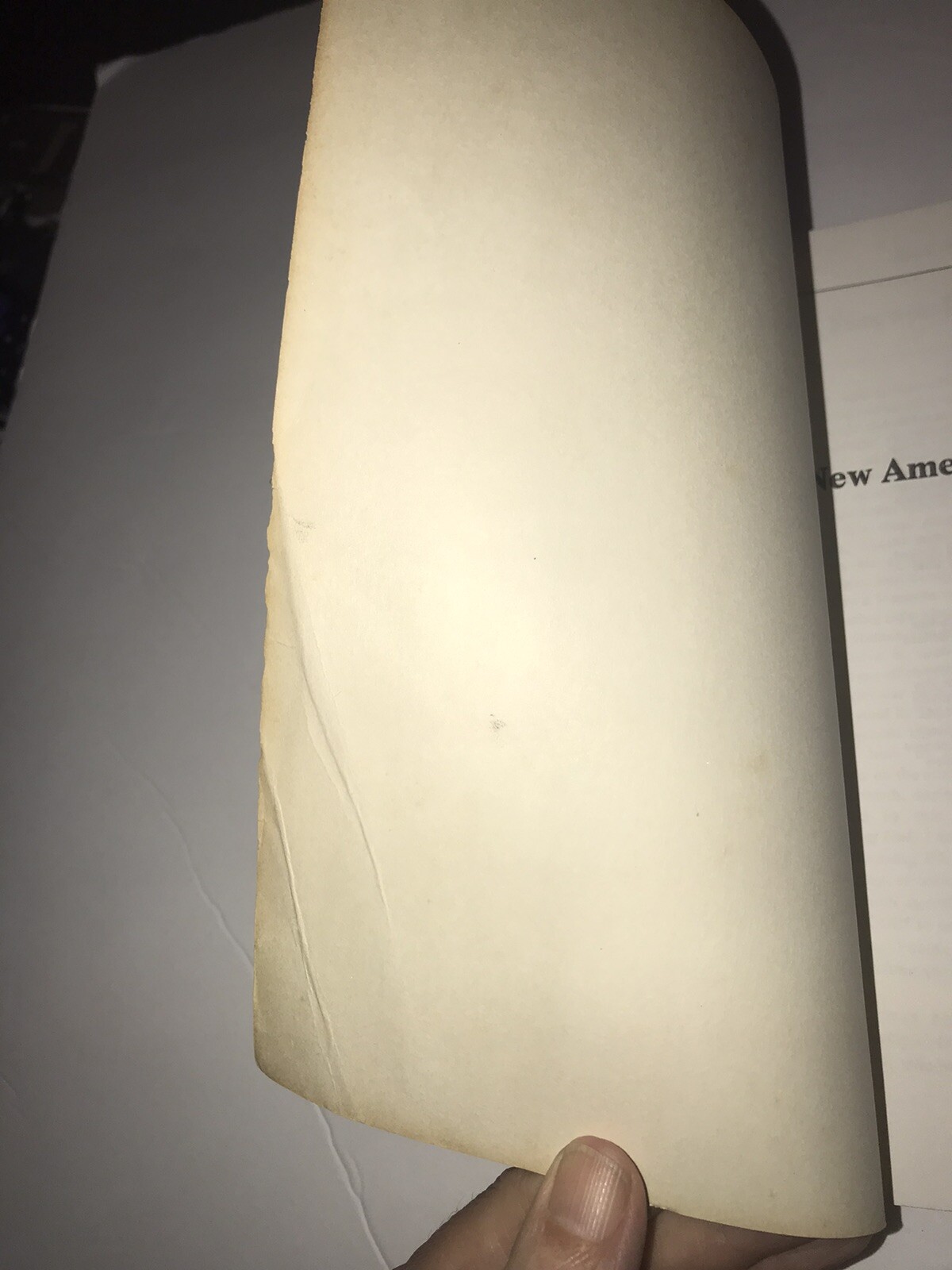 “New American Book of the Dead” by Gold, E. J. Book 1981 210 Pages Rare