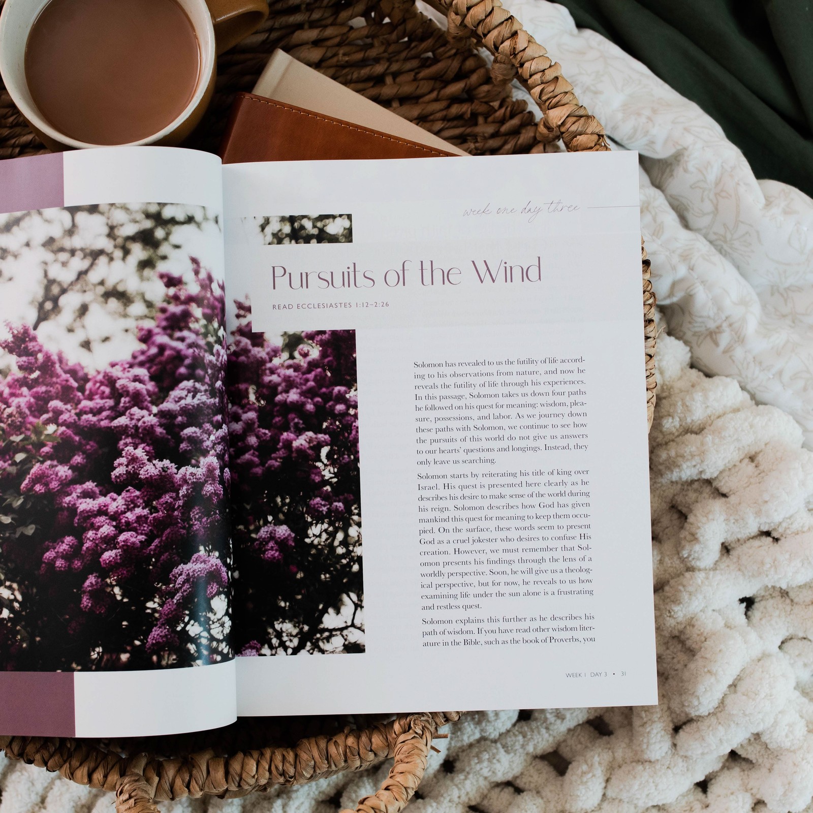 The Daily Grace Co Path to Purpose | A Bible Study on the Book of Ecclesiastes