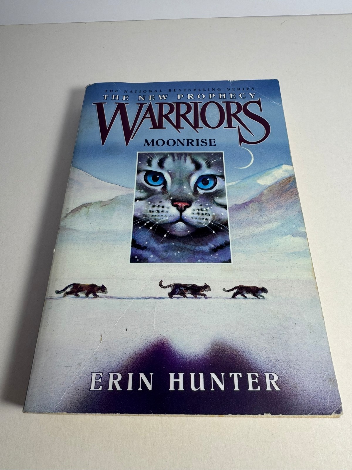 Warriors The New Prophecy First Edition Set 1-6 – Erin Hunter Paperback