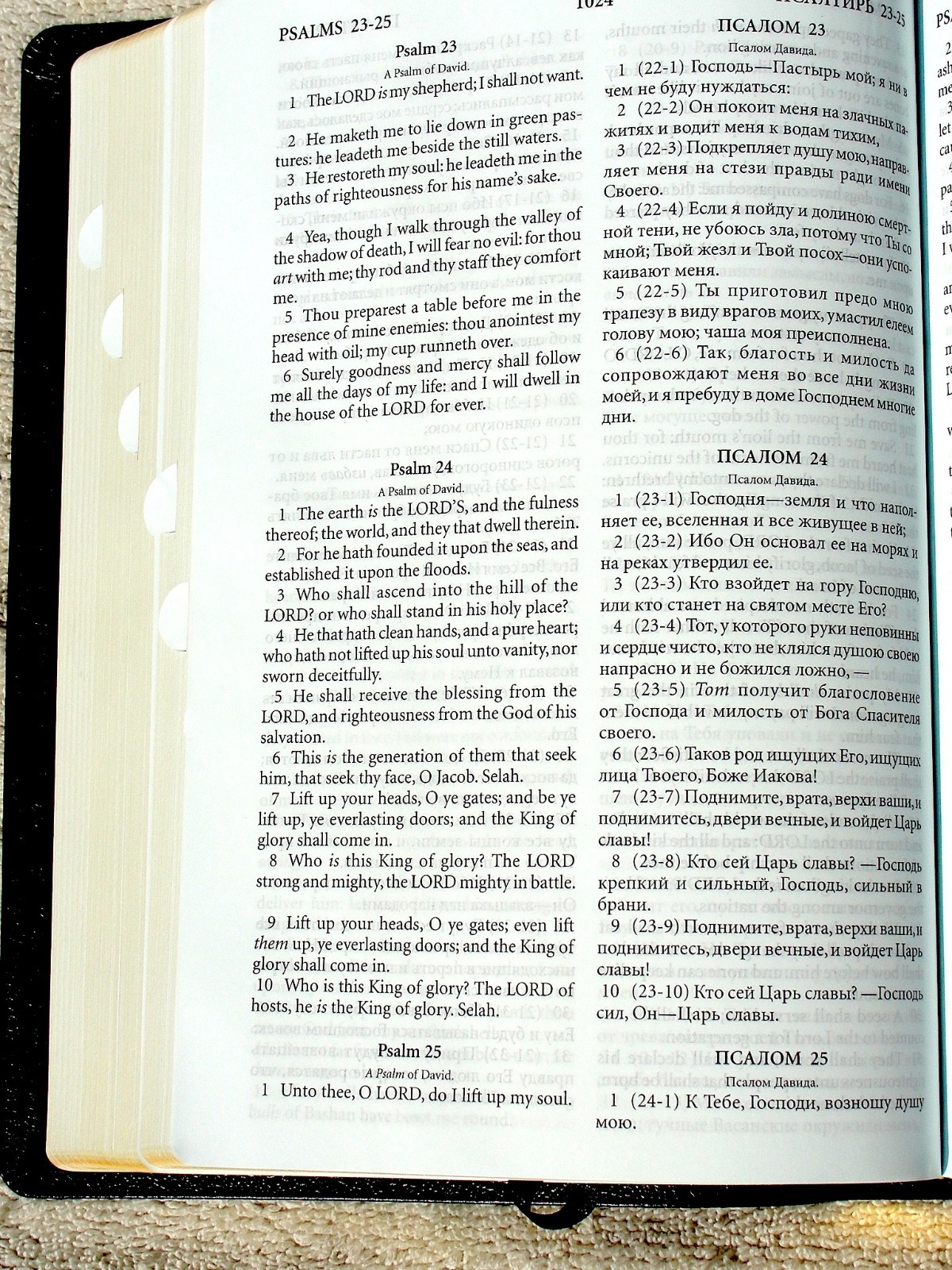 Russian/English Parallel Bible, Blue Bonded Leather, Synodal/King James Version