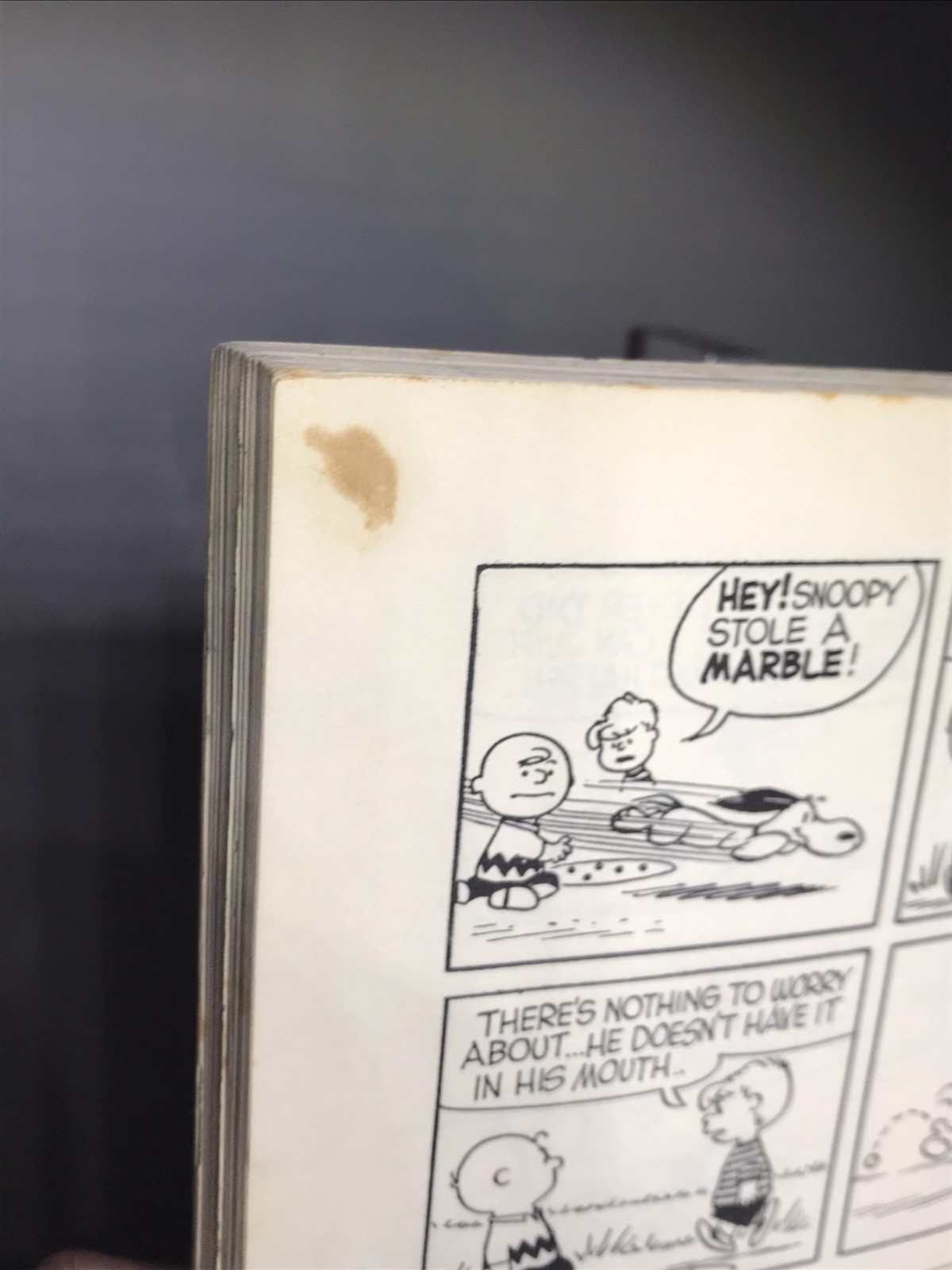 Vintage Snoopy & Snoopy Come Home Charles Schulz Paperback Comic Books Lot Of 2