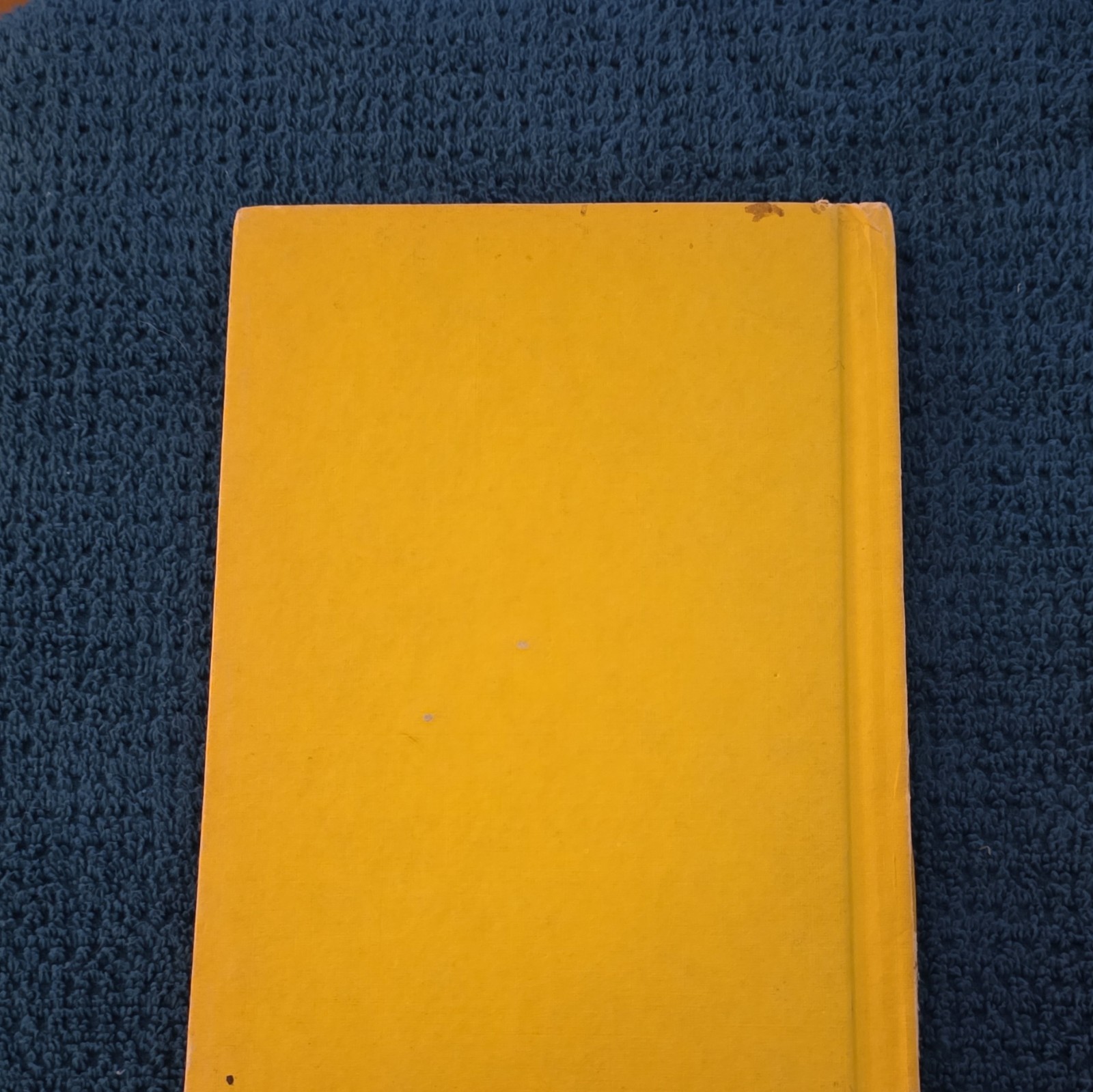 The Happy Birthday Present by Joan Heilbroner – hardcover kids book – 1962