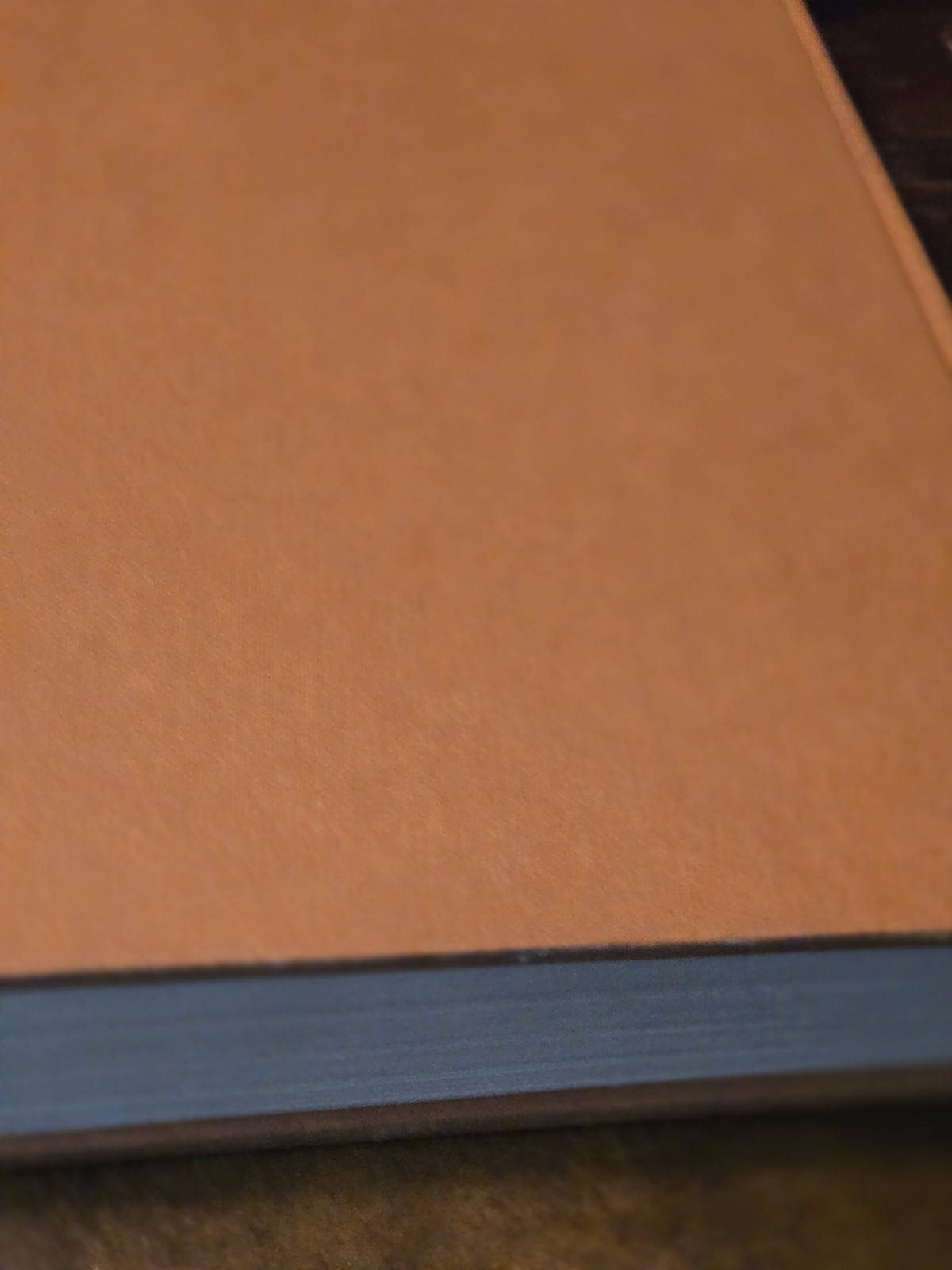 Vincent Van Gogh By Marc Edo Tralbaut 1969 First Edition Hardcover