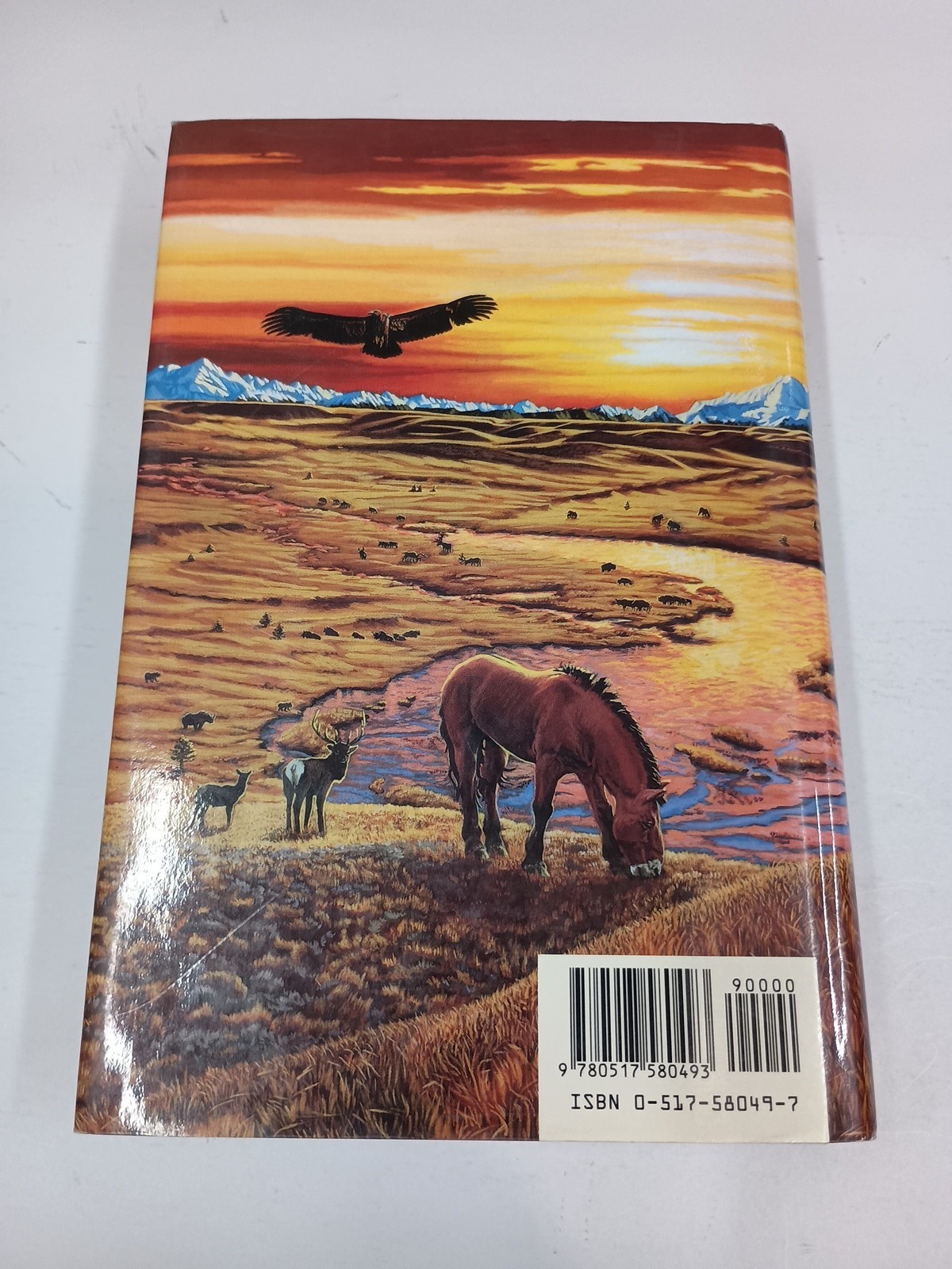 Earth’s Children Ser.: The Plains of Passage by Jean M. Auel (1990, Hardcover)