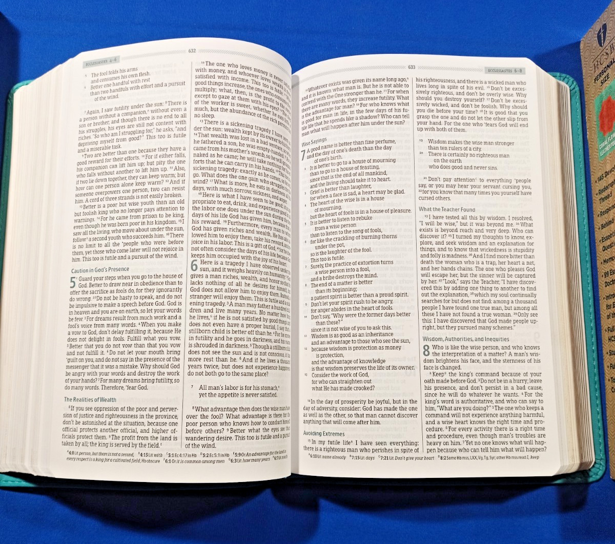 HCSB Essential Teen Study Bible Coral Flower Blue