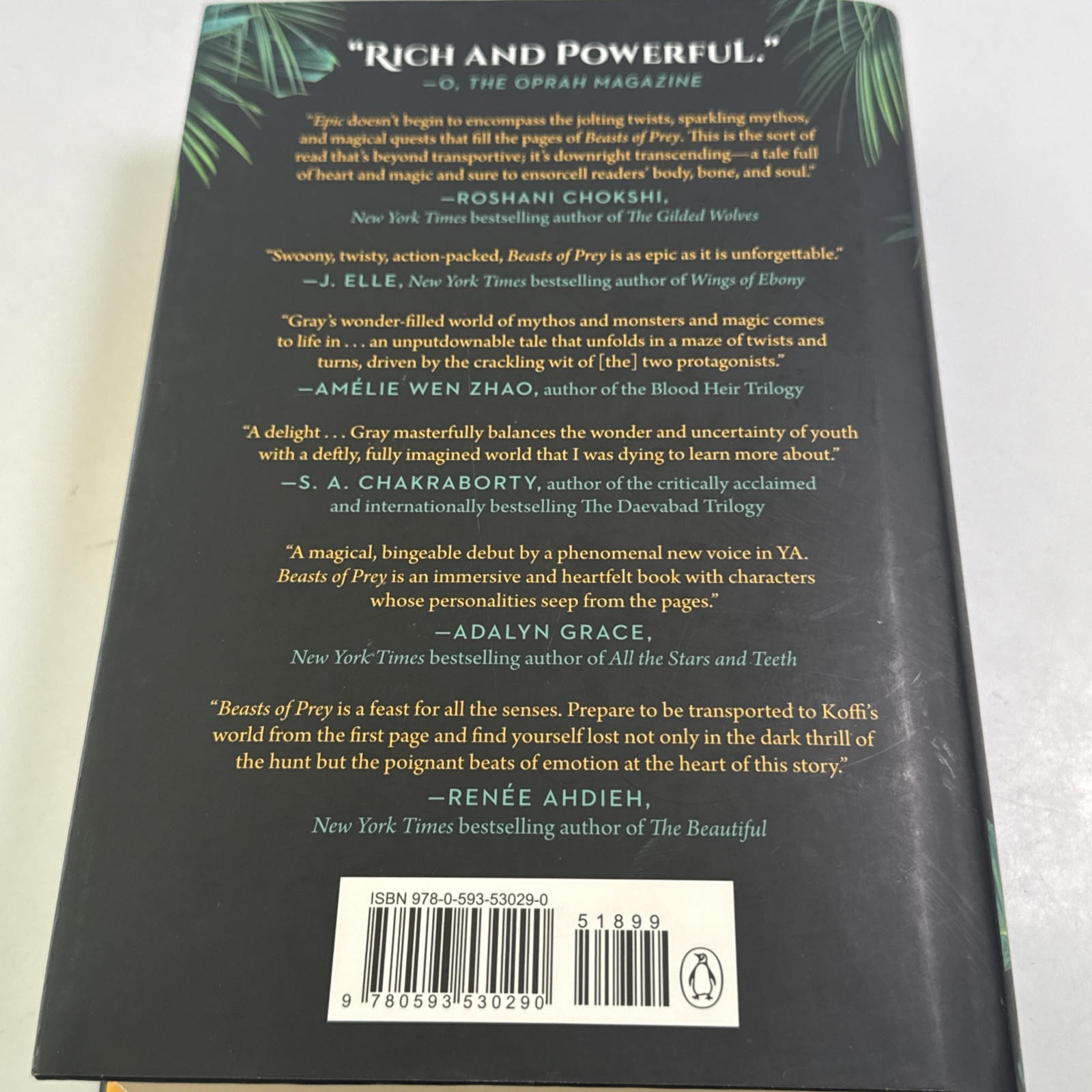 The Hunt Begins Beasts of Prey Ayana Gray Hardcover Book Excellent Clean