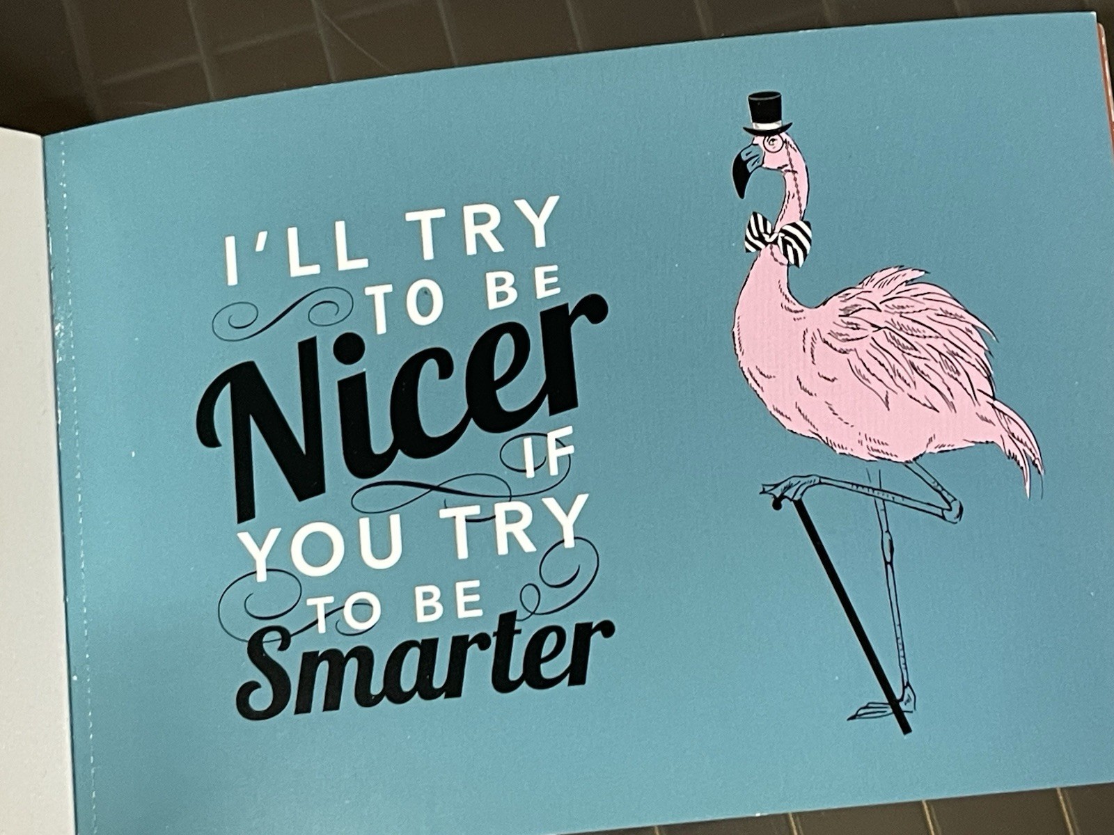 Book Of 30 “You Suck”, Adult PRANK Mail Postcards, FUNNY Joke Snarky Revenge