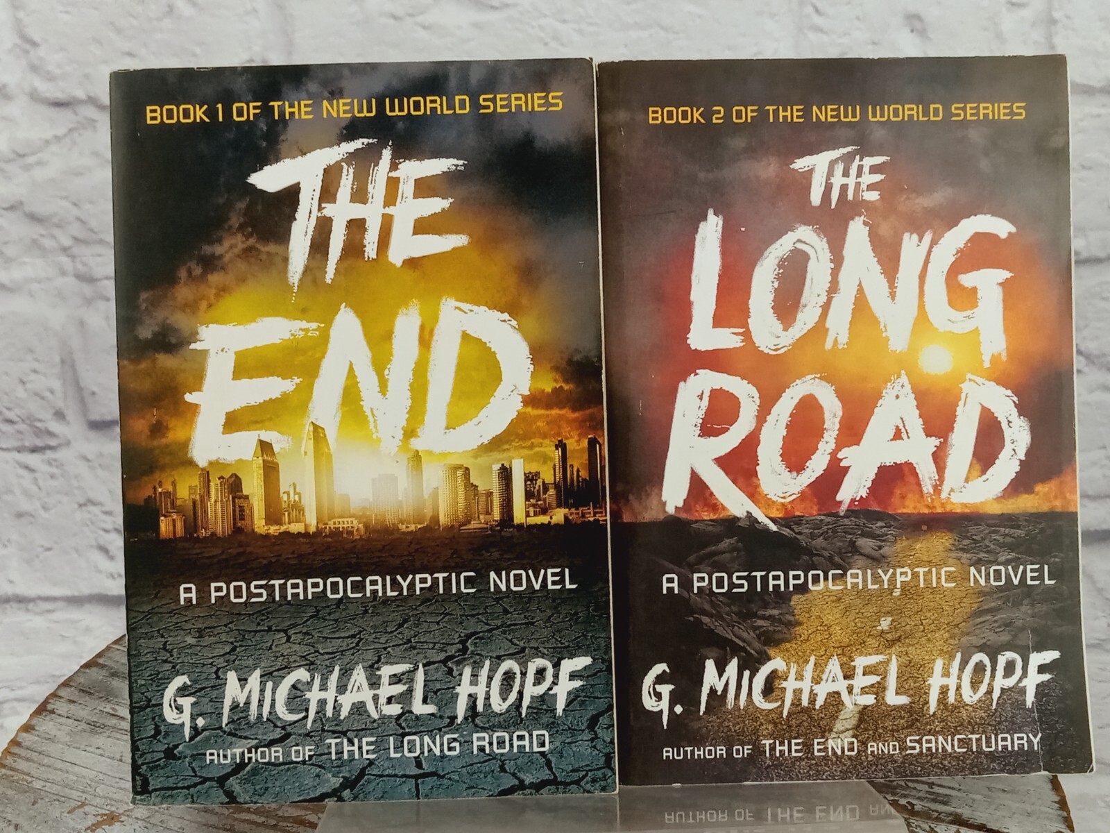 The New World Series Postapocalyptic Novel LOT OF 2 Michael Hopf #1 #2 PB