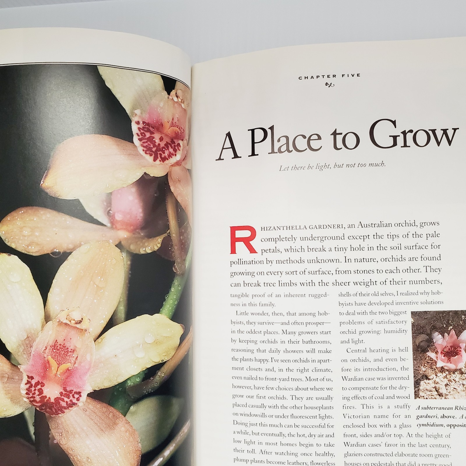 Orchids Simplified: An Indoor Gardening Guide Book Garden Houseplant Flowers