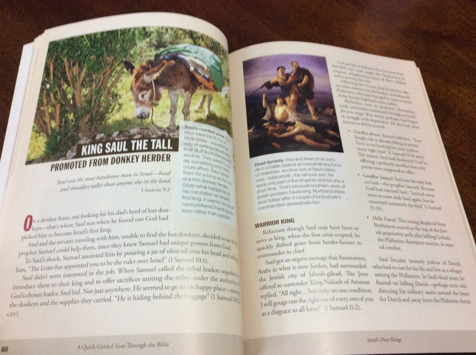 A QUICK GUIDED TOUR THROUGH THE BIBLE: EXPERIENCE THE By Stephen M. Miller PB VG