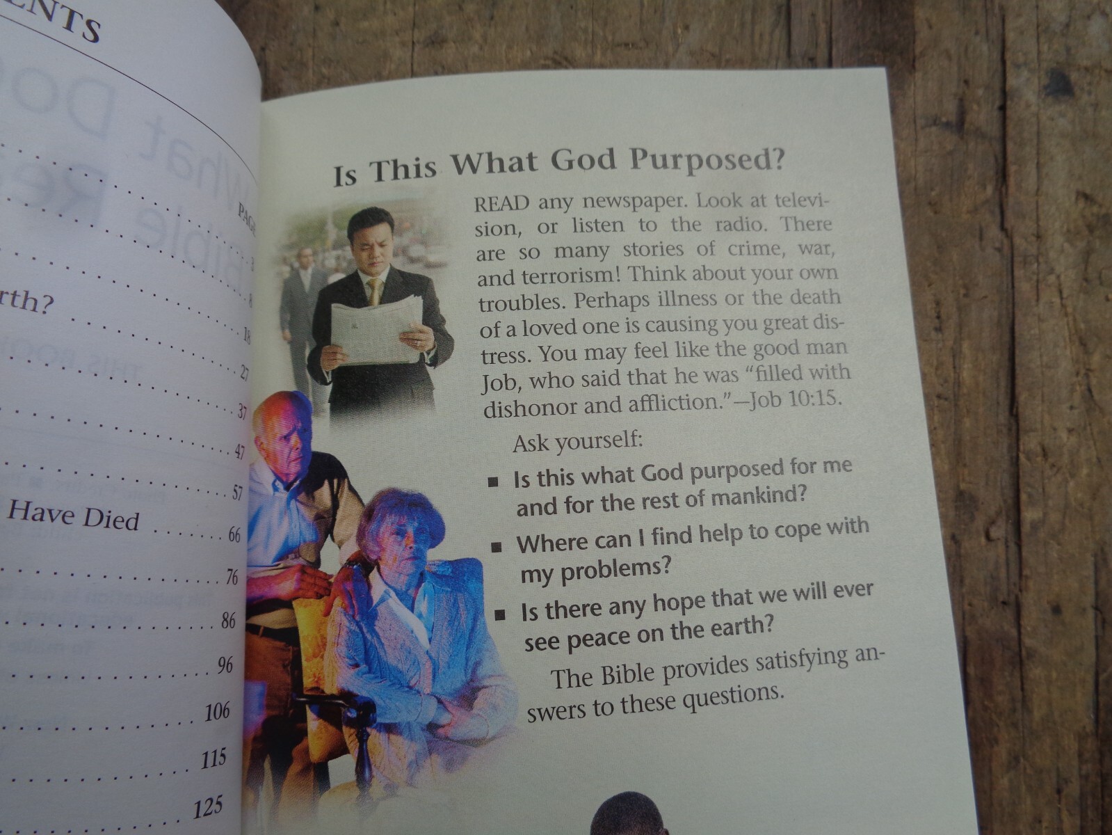 „WHAT DOES THE BIBLE REALLY TEACH?“. 2016. 223 pages. Paperback. Watchtower