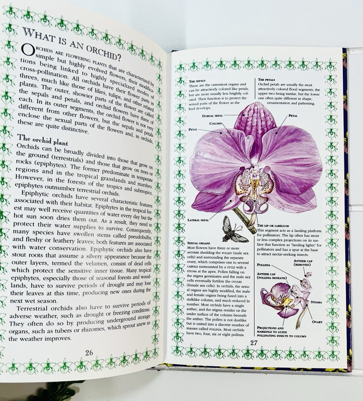 Orchids : A Romantic History Guide to Cultivation Philip Cribb Tropical Flowers
