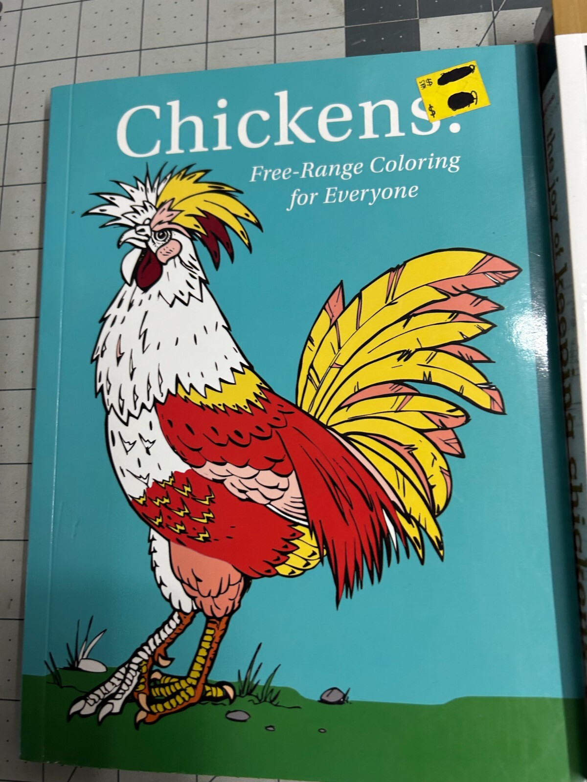 3-pack The Joy of Keeping Chickens Guide Jennifer Megyesi coloring book journal