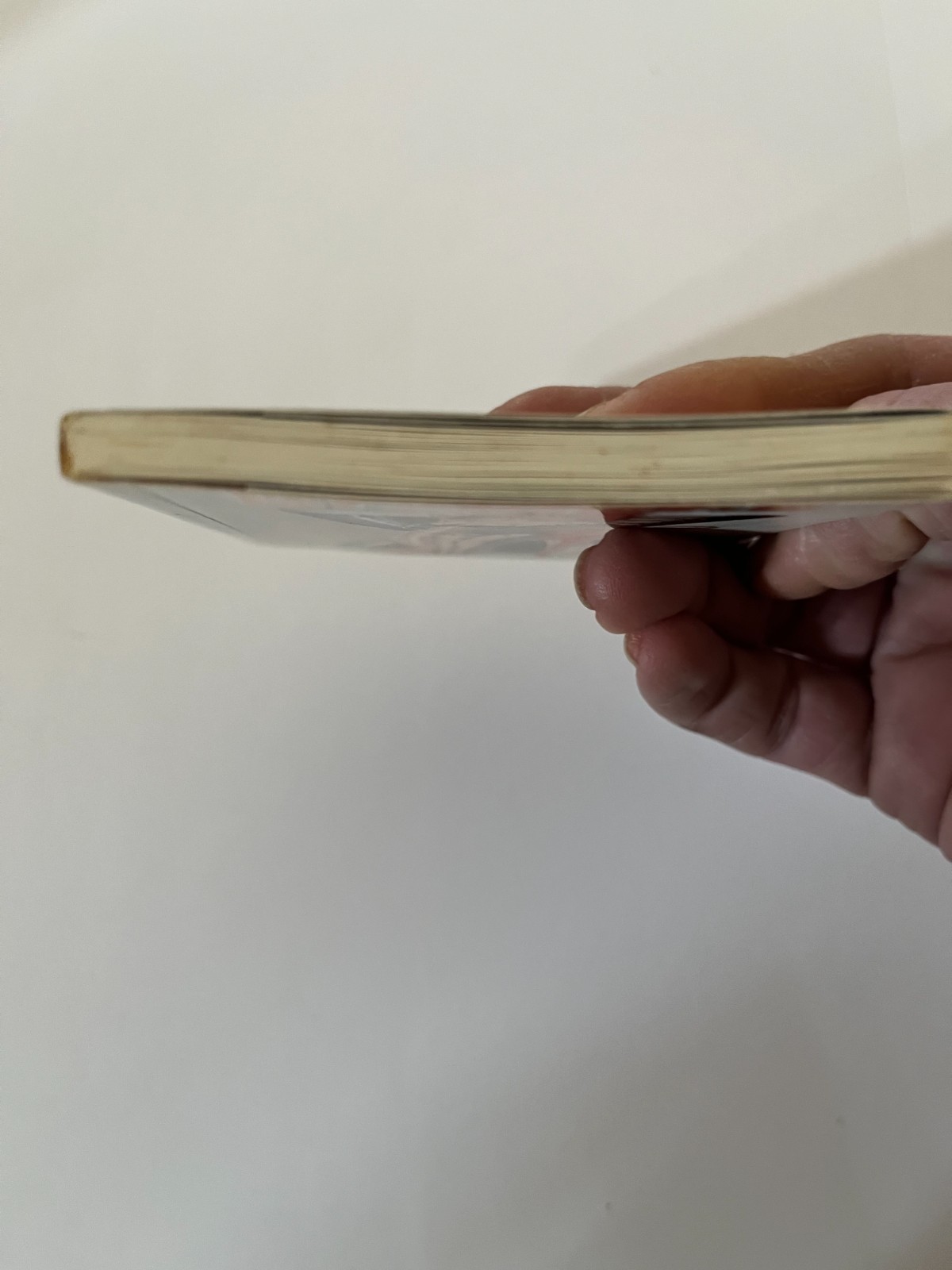 John Willie’s Bizarre [Amuse-gueule]. Taschen Mini-Book. 1996.