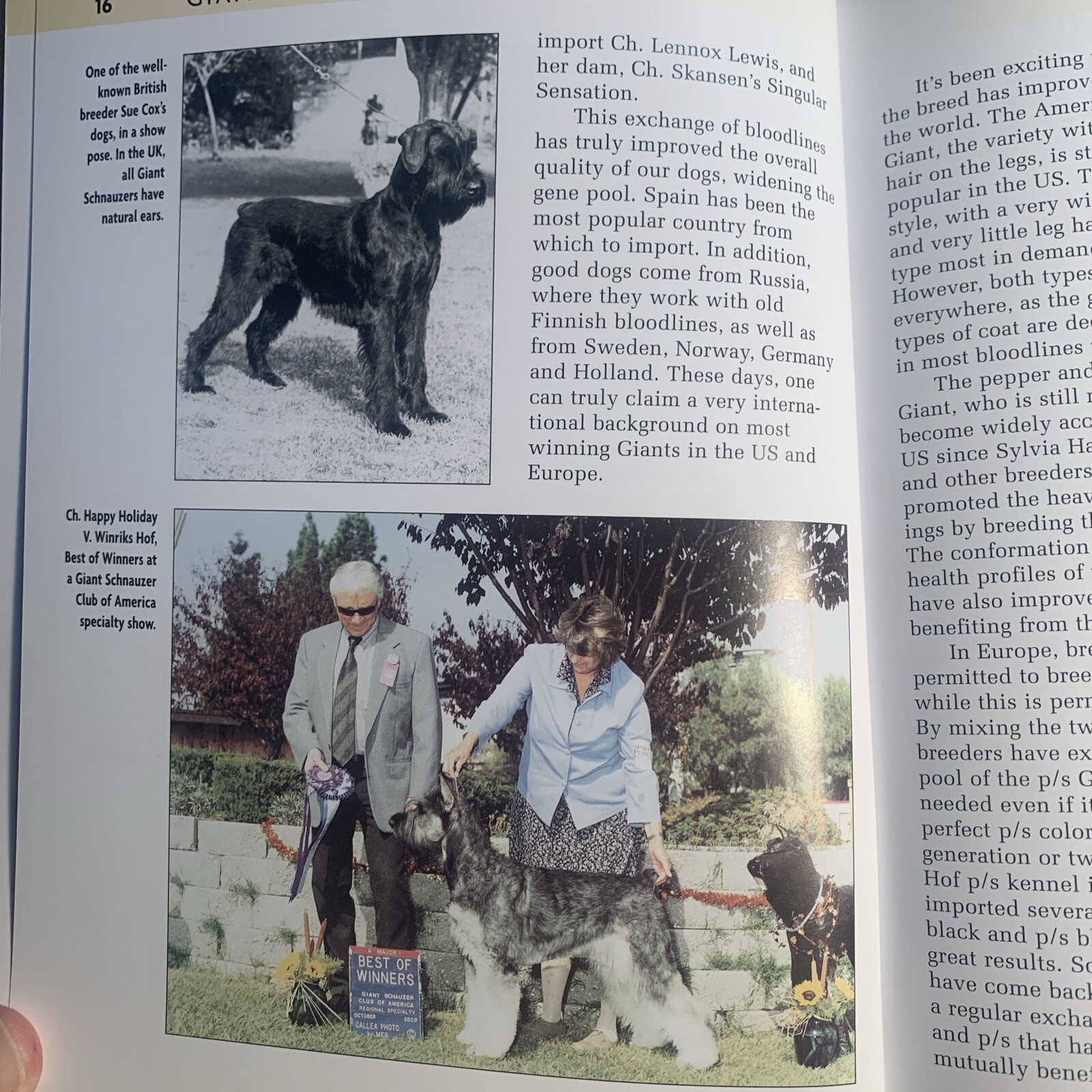 A Kennel Club Book Giant Schnauzer Comprehensive Guide To Owning And Caring For