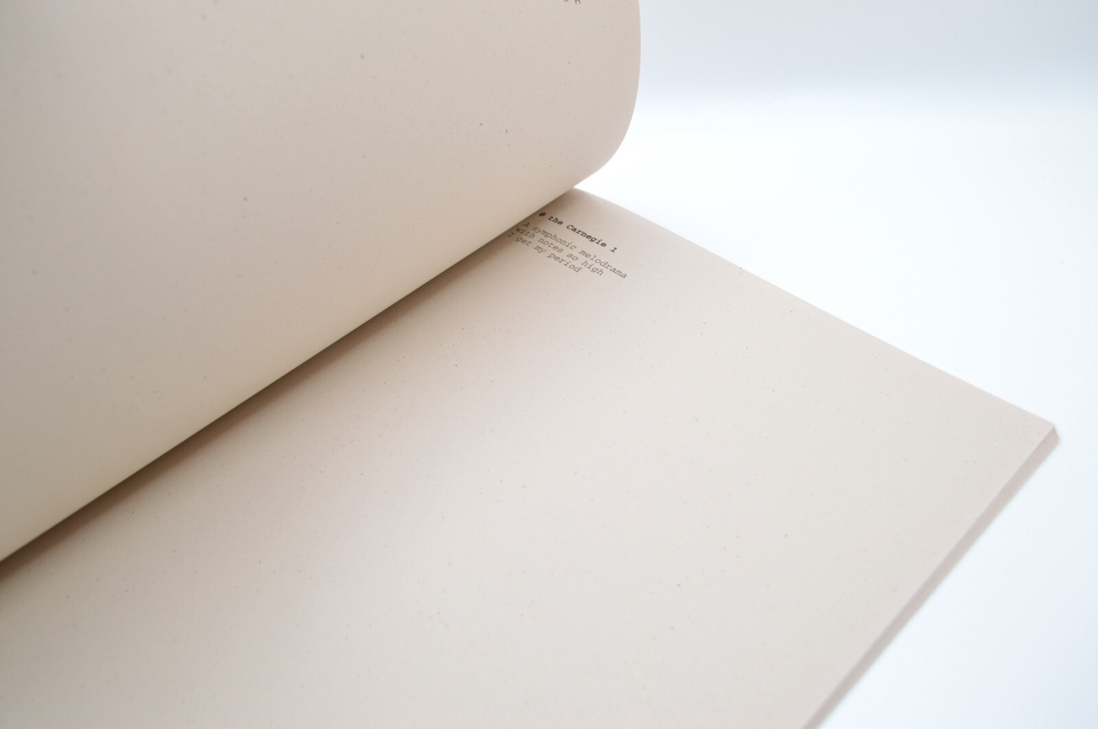 Who is in Charge, Morgan Ritter, 2013, c_L Books, LE, Concrete Poetry, Artist