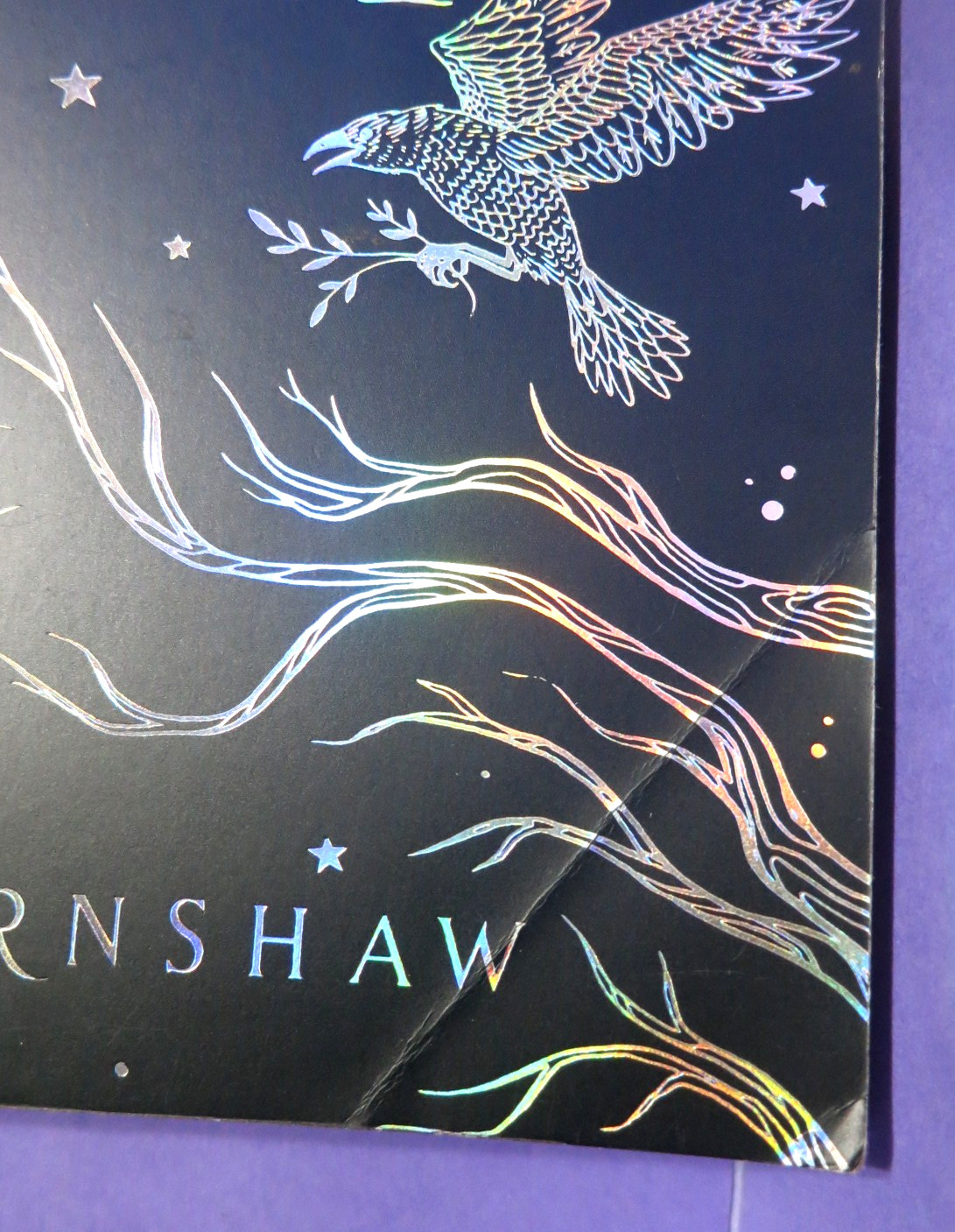 Lot of Fantasy/Horror: Silvia Moreno-Garcia/Shea Ernshaw/Erin Morgenstern 7 TPBs