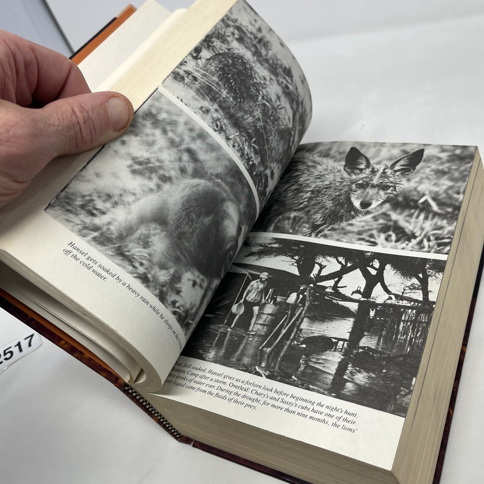 Delia Owens In Africa : A Life In The Wild by Mark Owens & Delia Owens – 2019 HC
