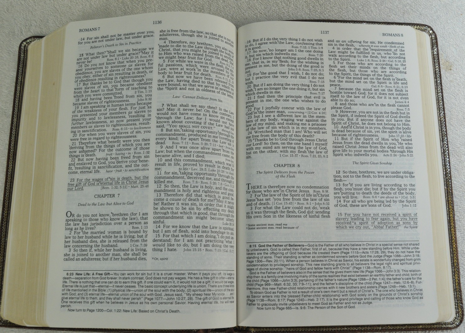 The Open Bible Expanded Edition NASB Brown Genuine Leather RL 1985 Nelson 976BR
