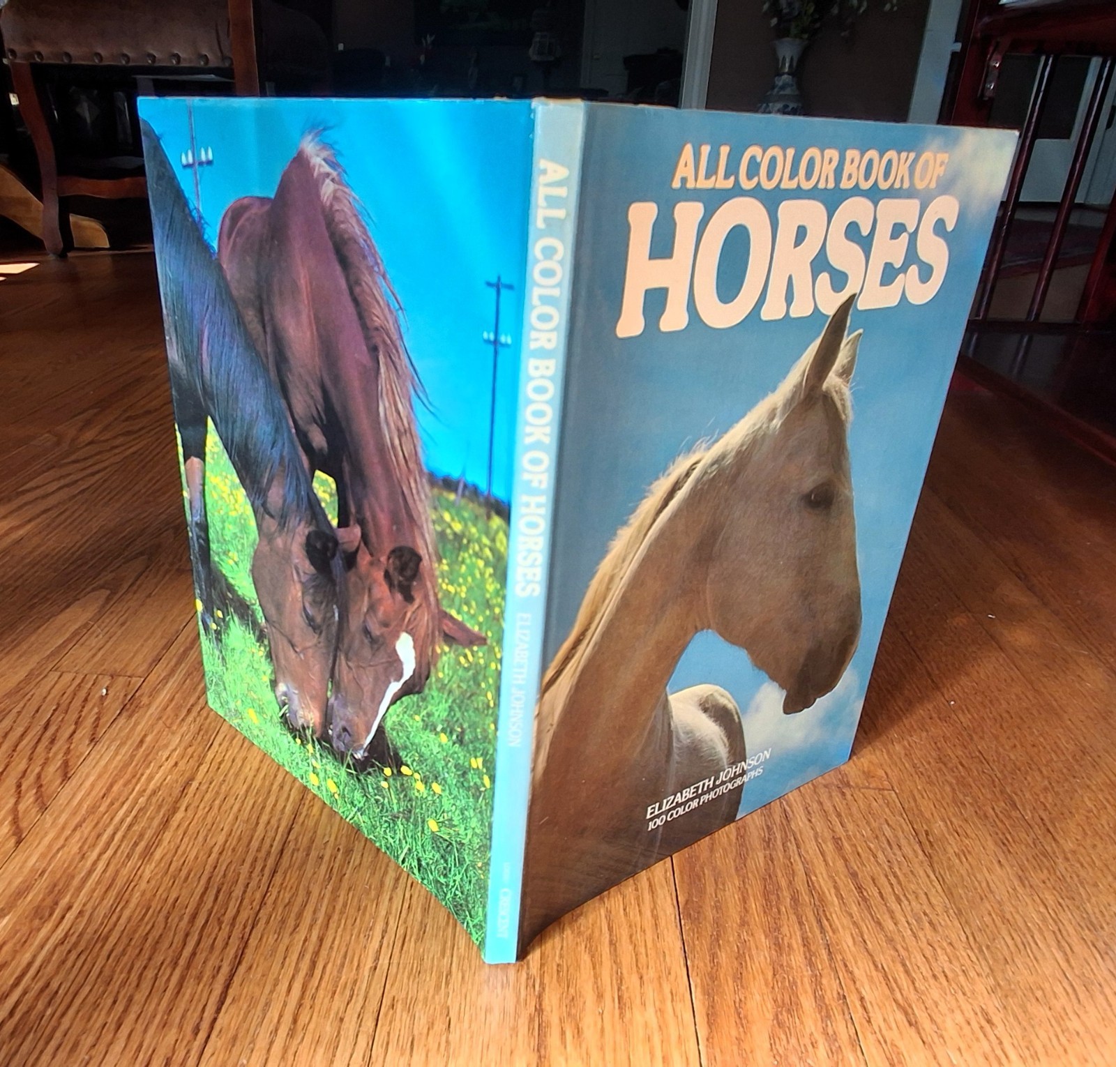 Horse Equestrian Picture Books Riding Horsemanship Horses 1970s Lot of 3 HCDJVG