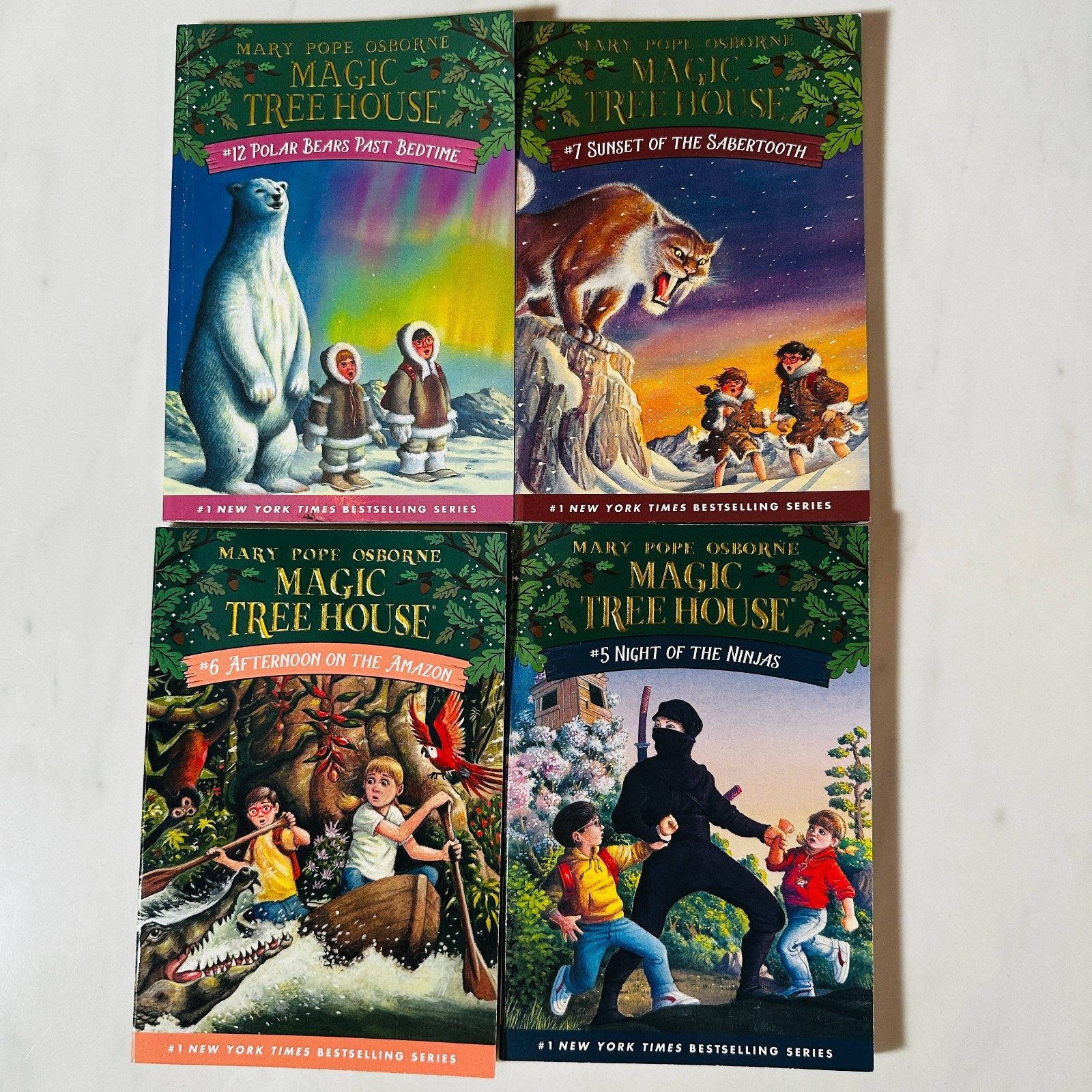 Magic Treehouse – Paperback Book Lot of 12 – #1-12 – Mary Pope Osborne