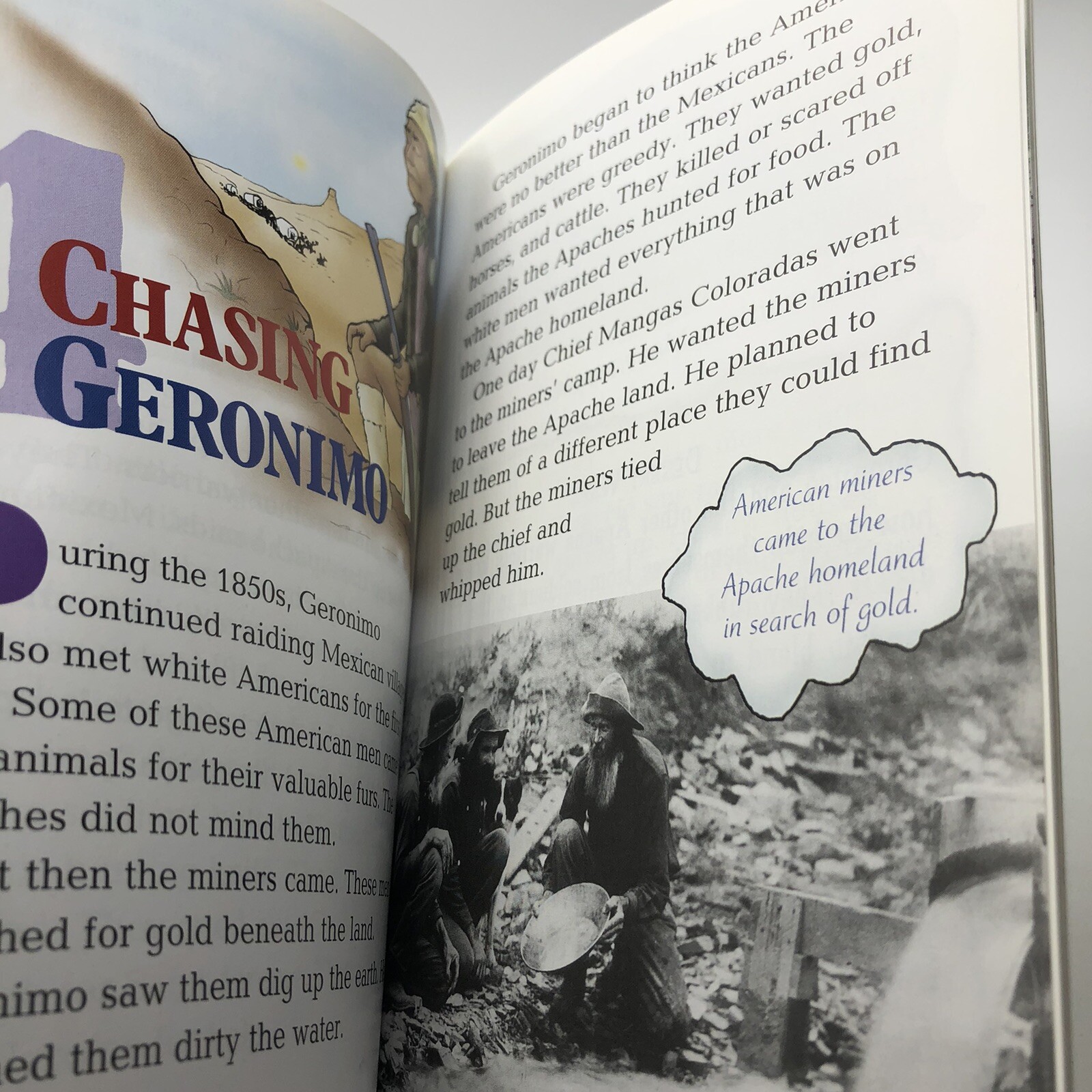 History Maker Biographies Ser.: Geronimo by Catherine A. Welch (2004, Trade Pape