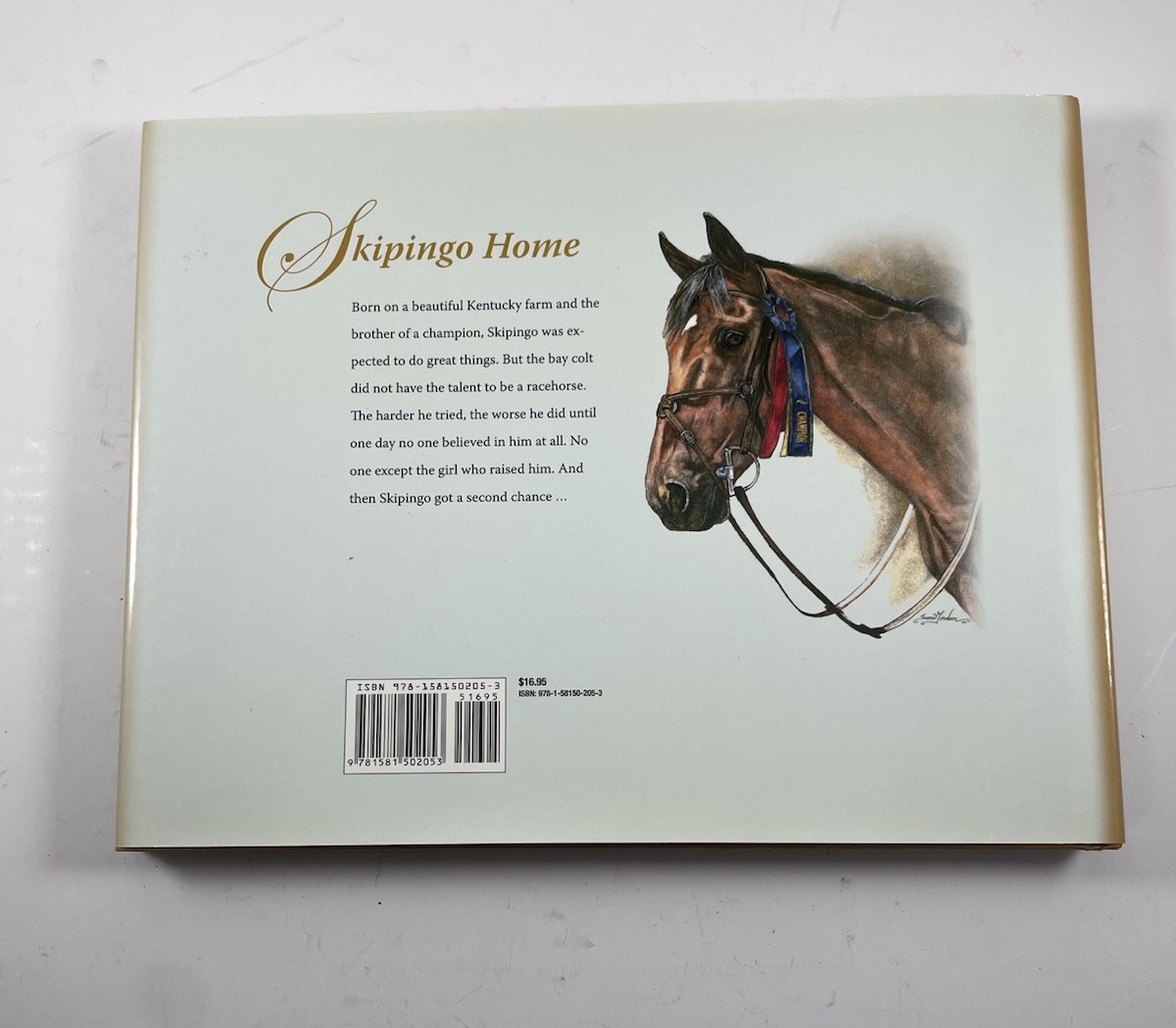 Primerica & Skipingo Home By Jane Lyon & Karen Bailey, Hardcover, 39 Pages Each
