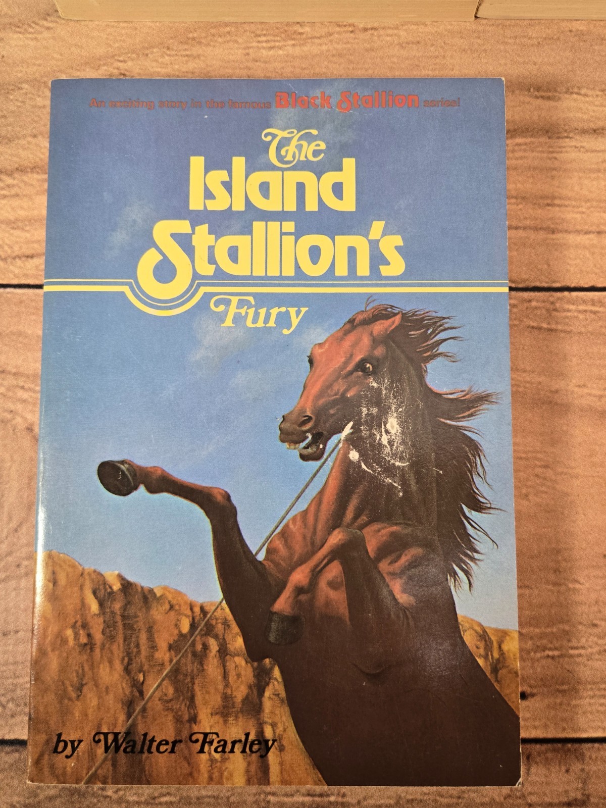 Lot of 5 The Black Stallion Paperbacks 1980s Walter Farley Very Good