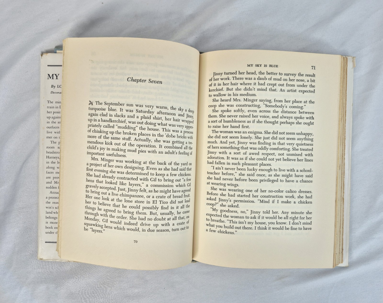 My Sky Is Blue By Loula Erdman 1st Edition 1953 HC DJ