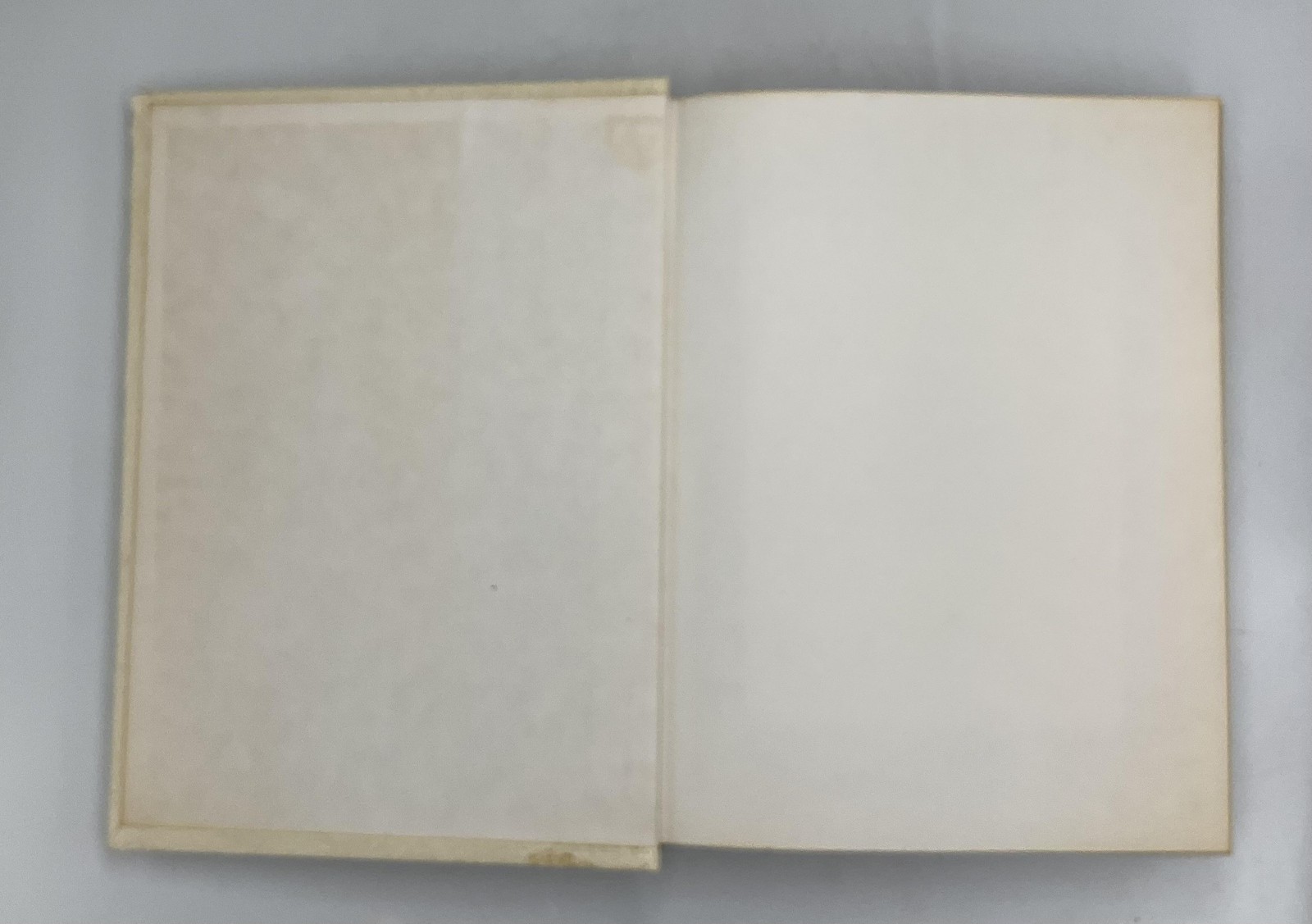 HOLY BIBLE HARDCOVER FAUX LEATHER BOUND ENGLISH RELIGIOUS