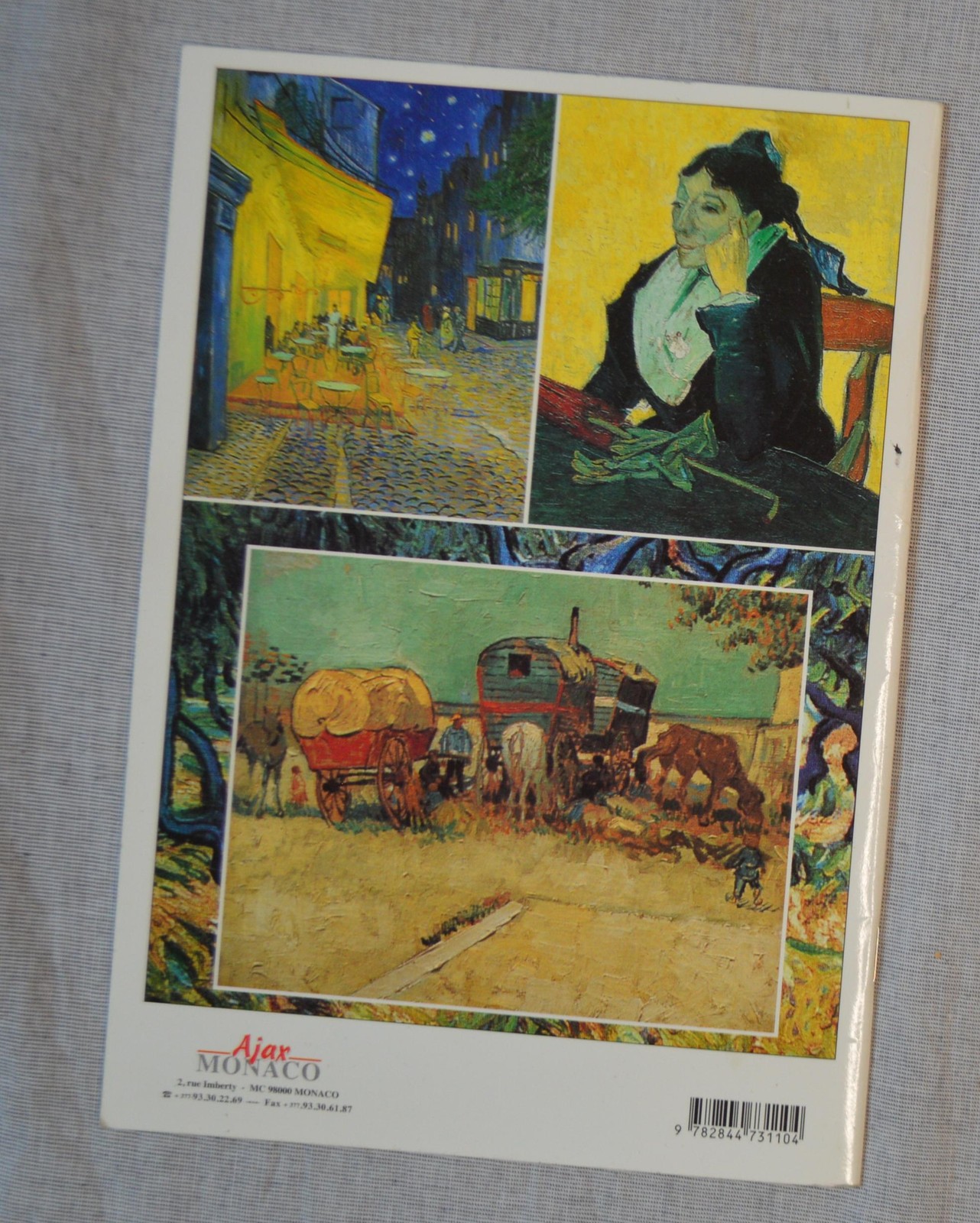 Van Gogh In Provence English Edition 2001 Ajax Monaco VTG