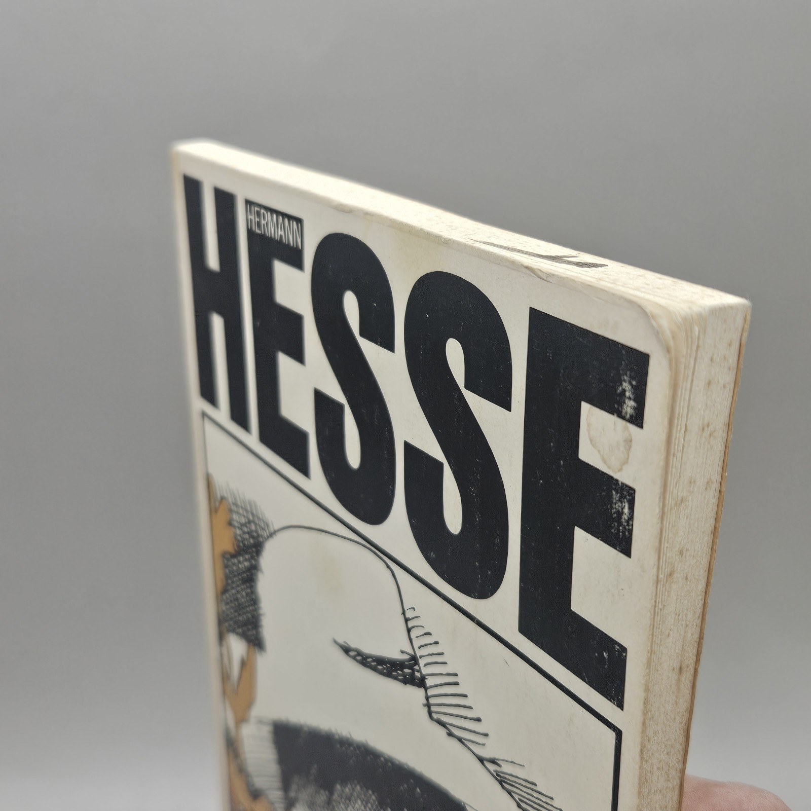Hermann Hesse HOURS IN THE GARDEN Farrar Straus Giroux 1979 Bilingual Edition